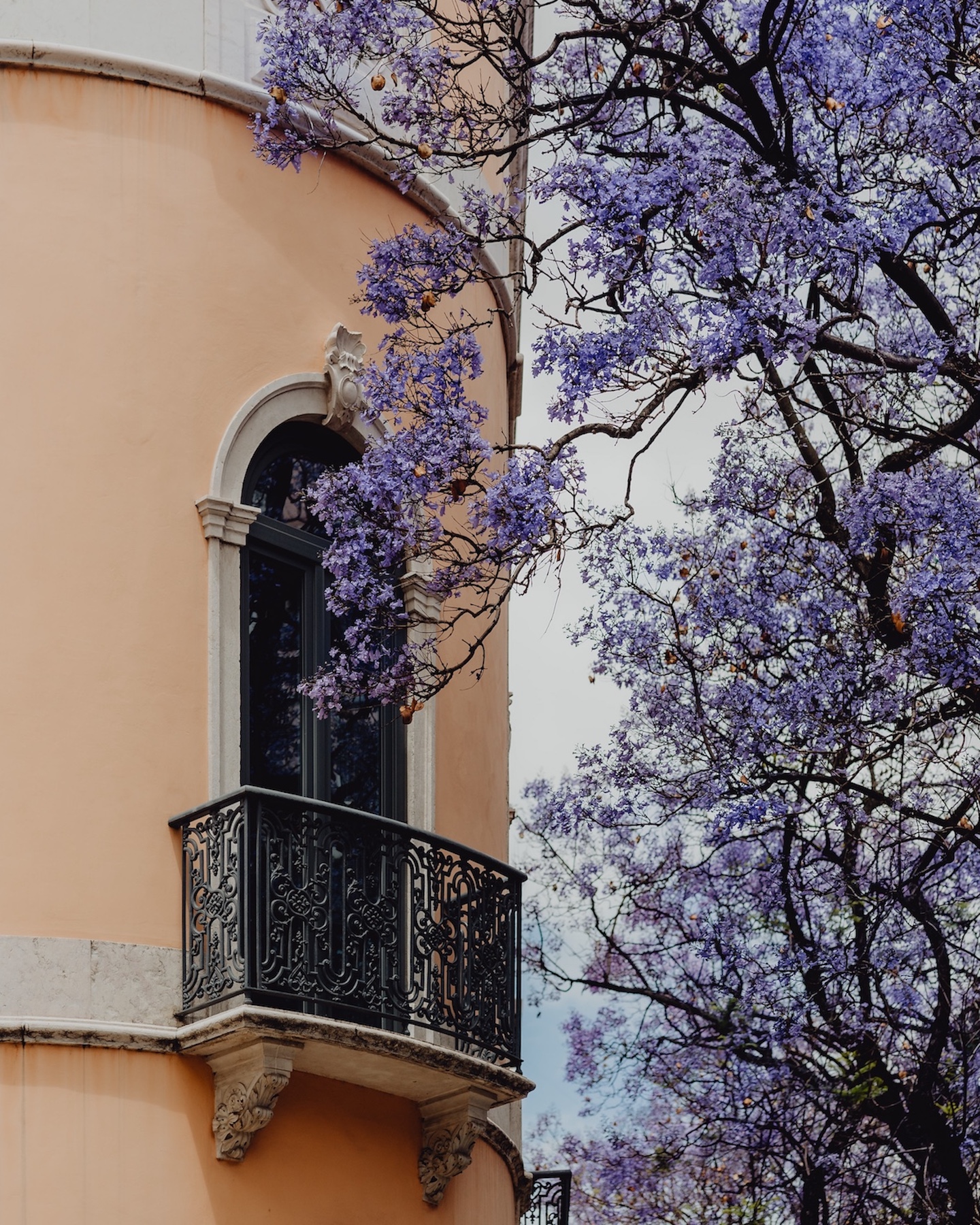 Lisbon Príncipe Real: A Green Crown of Elegance and Design | Portugal 