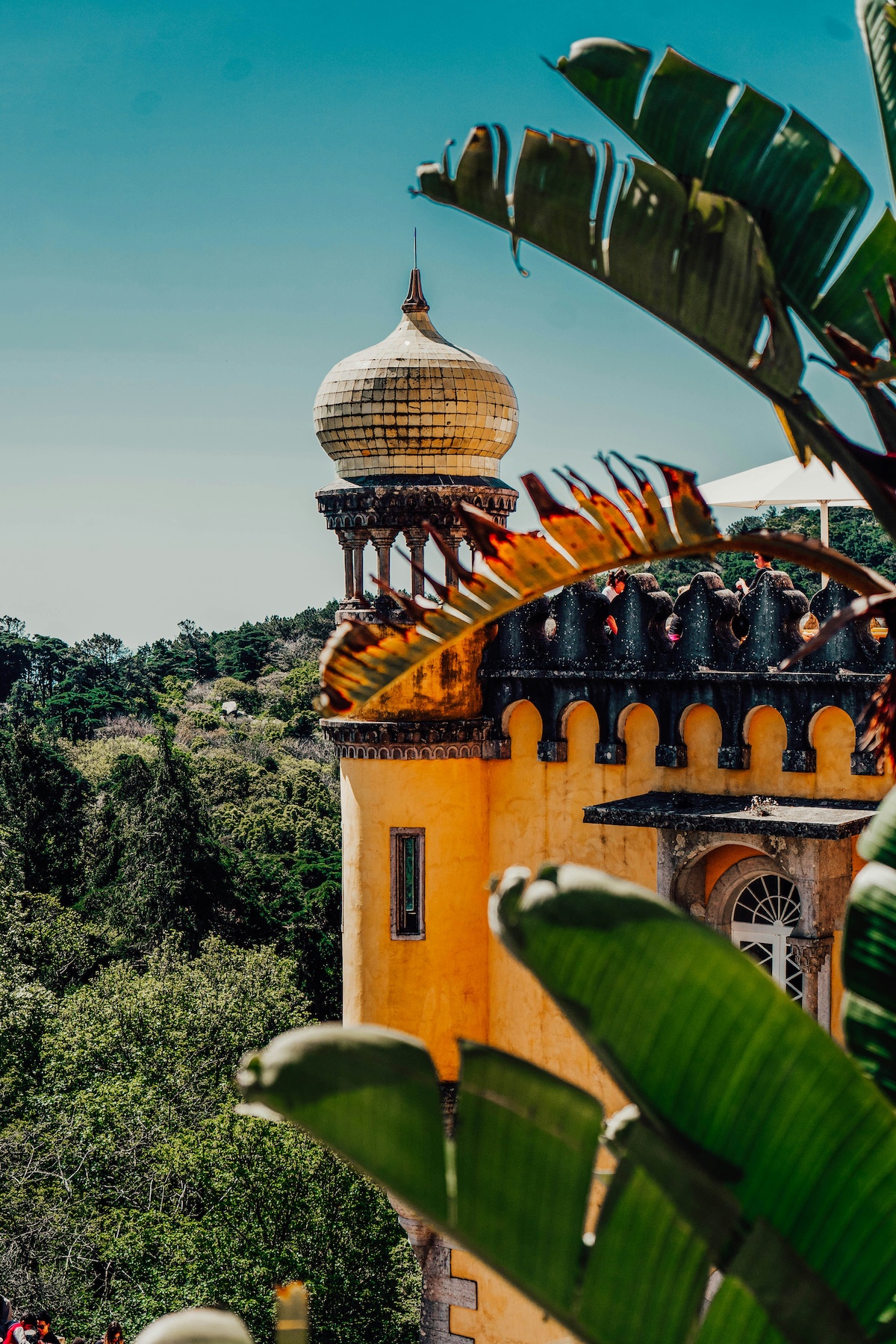 Lisbon’s Sintra | Travel Attractions  The Aficionados