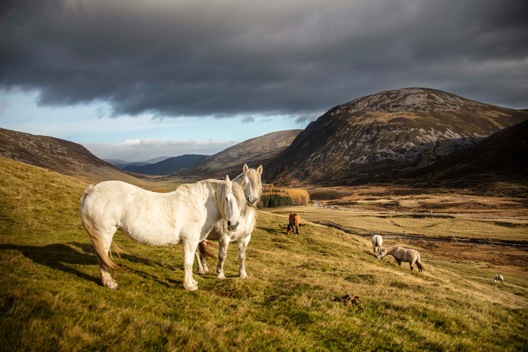 Wildland Scotland: Wilderness Escapes & Eco Retreats in the Highlands
