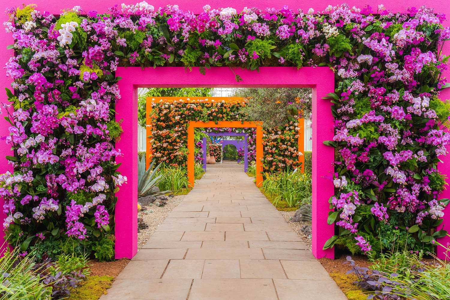  NYBG New York Botanical Garden | Bronx NYC | The Aficionados