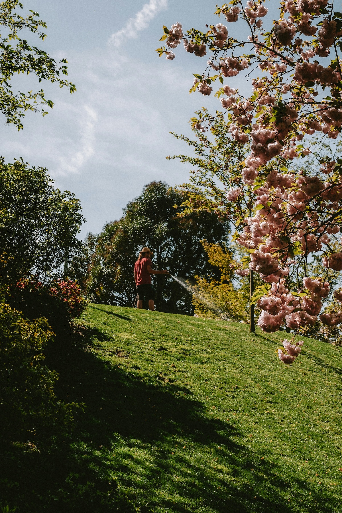 Trauttmansdorff Botanical Gardens Merano South Tyrol | The Aficionados