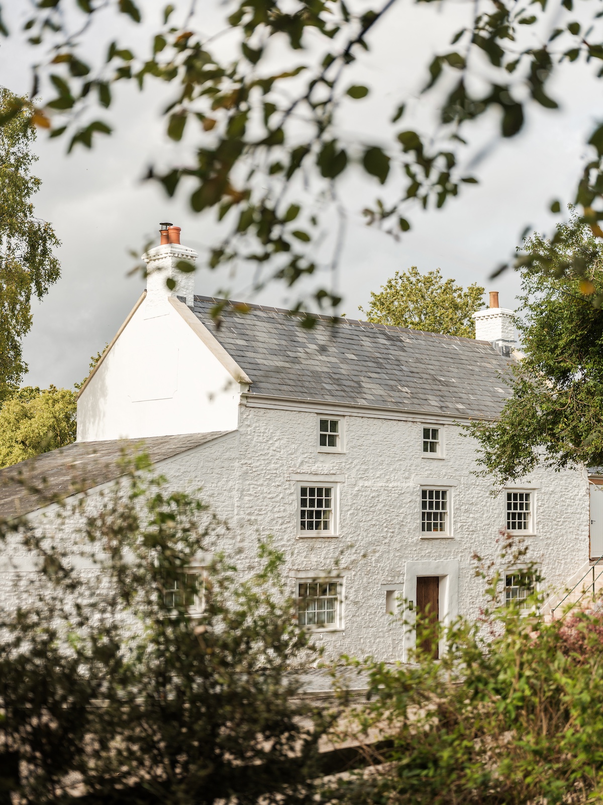 Traidtional White Cottage Building in Somerset England framed by green matrure trees |Osip Bruton Somerset, England – Michelin Star Dining & Rooms | The Aficionados