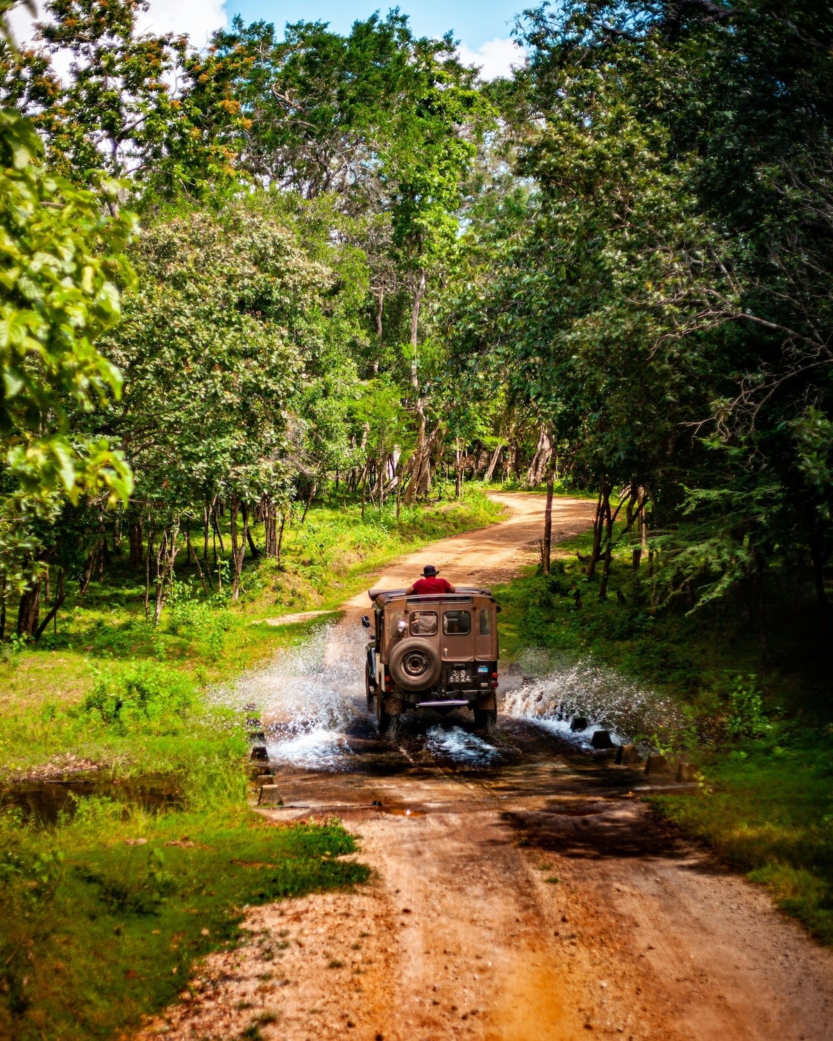 Safari jeep fording a stream on a red earth track through the forest, Wilpattu National Park, Sri Lanka | The Aficionados