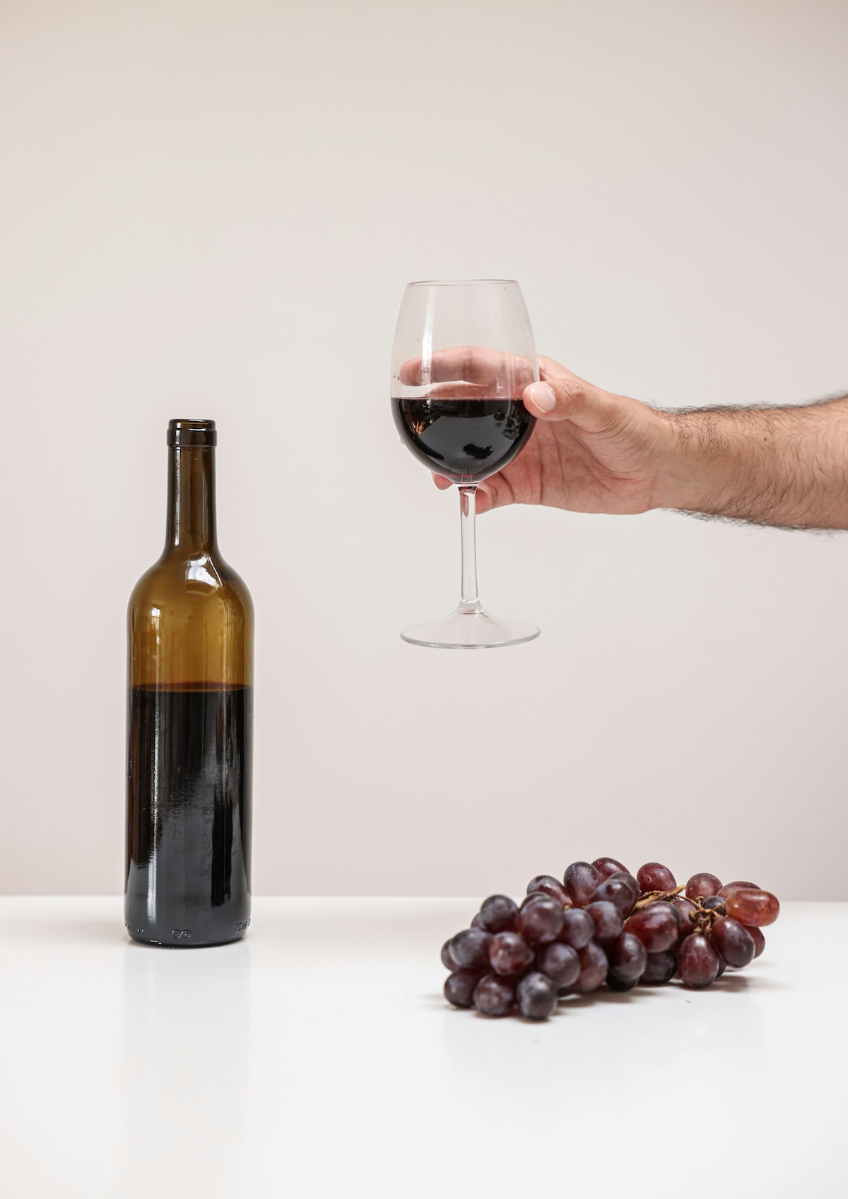 Bardolino Wine Festival | Festa Dell’Uva Lake Garda Italy | The Aficionados