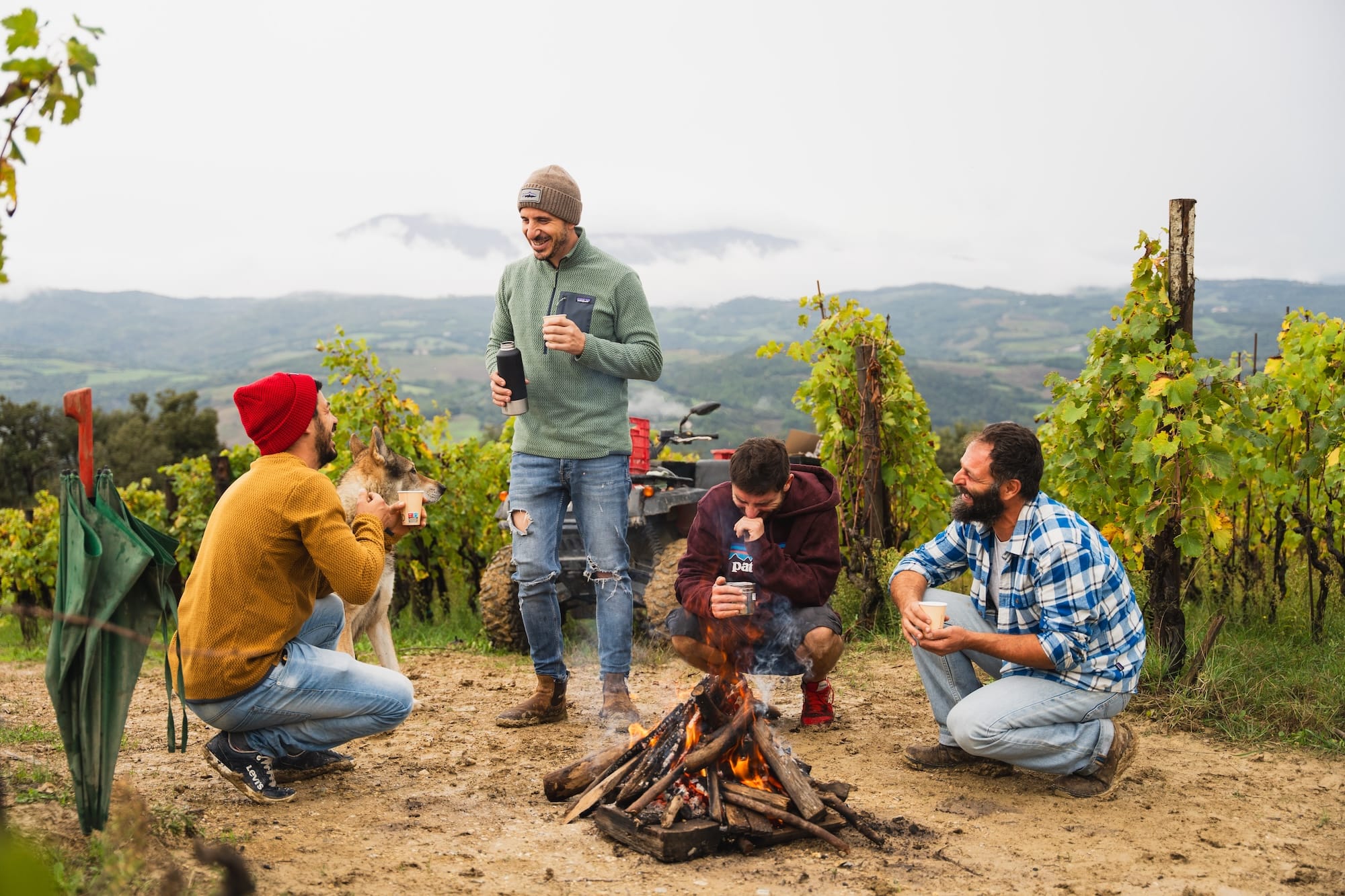 Favourite Tuscan Vineyards by Fabio Firli - Follonico | The Aficionados 