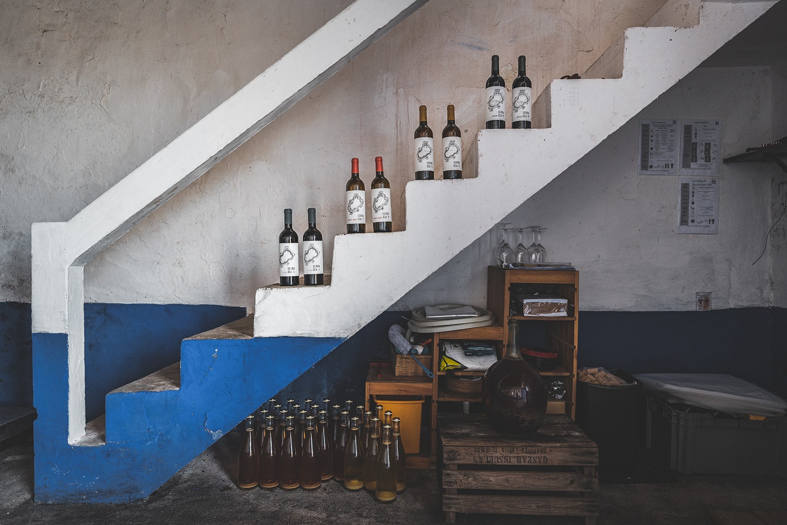 Wines of Lisbon & Co. | The Best Vineyards to Visit and Tour