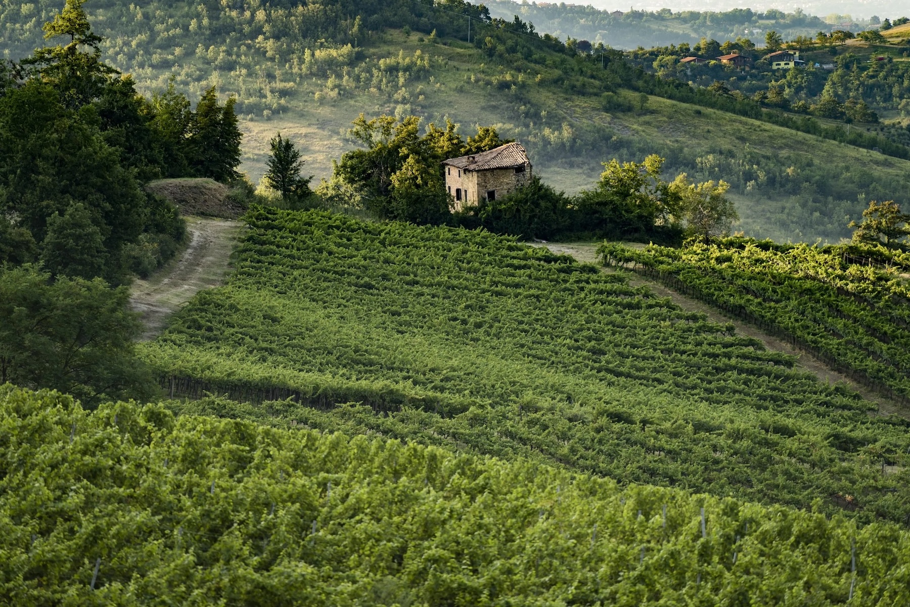 Ancient stone farmhouse among green hillside trees in morning mist – Lambrusco wine country, Emilia-Romagna, Italy | The Aficionados
