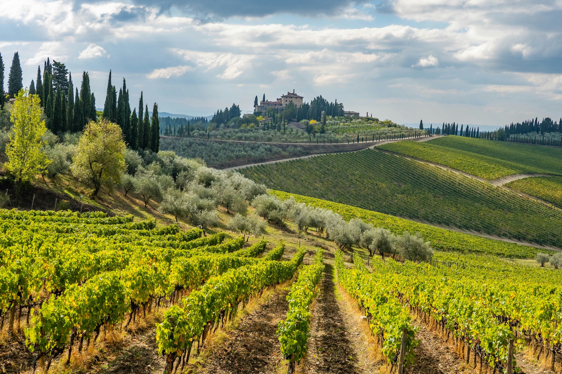 Tuscan Vineyards by John Voigtmann La Bandita Townhouse, Italy.