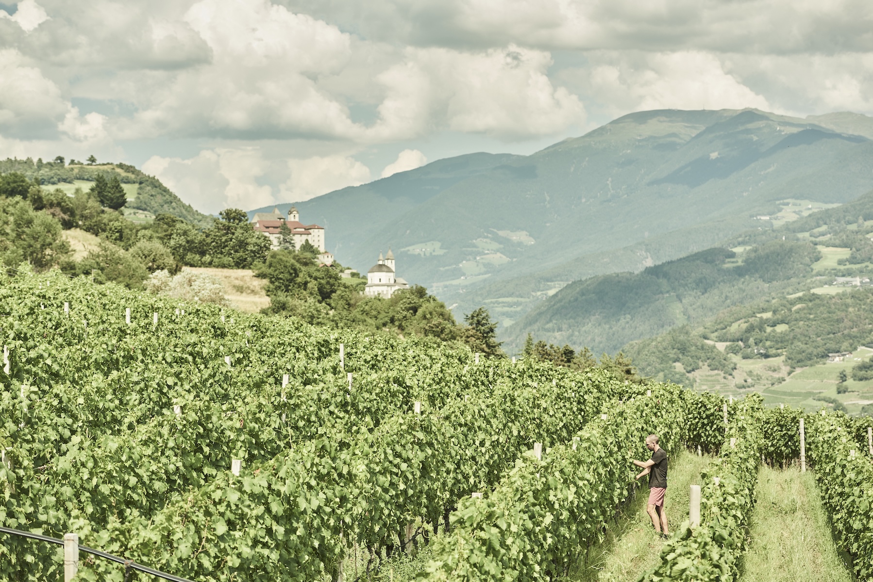 Röck vineyard terraces above the Eisacktal valley with Säben Abbey and the Dolomites beyond, South Tyrol | The Aficionados