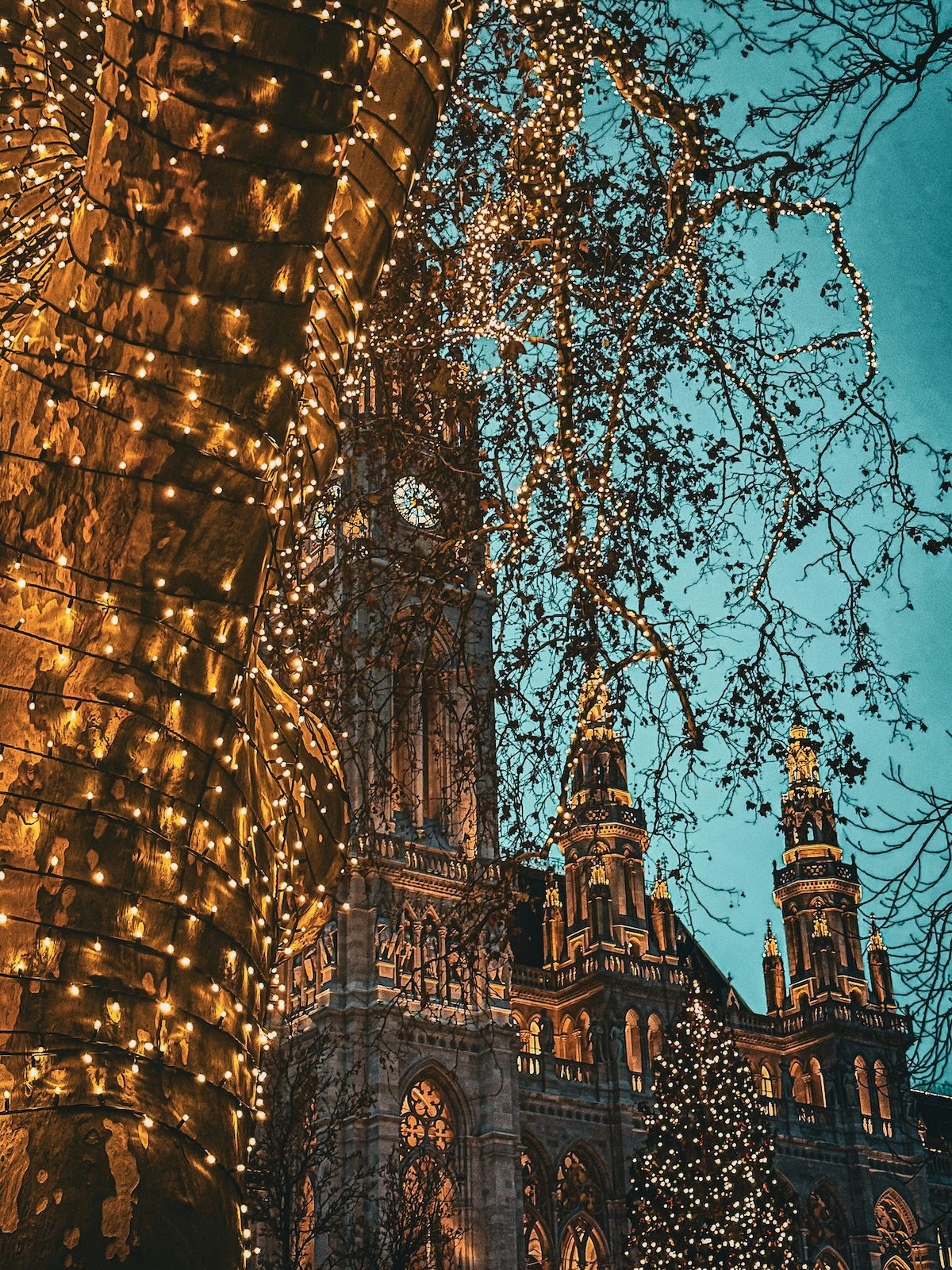 Christmas Market Vienna Austria Guide | The Aficionados