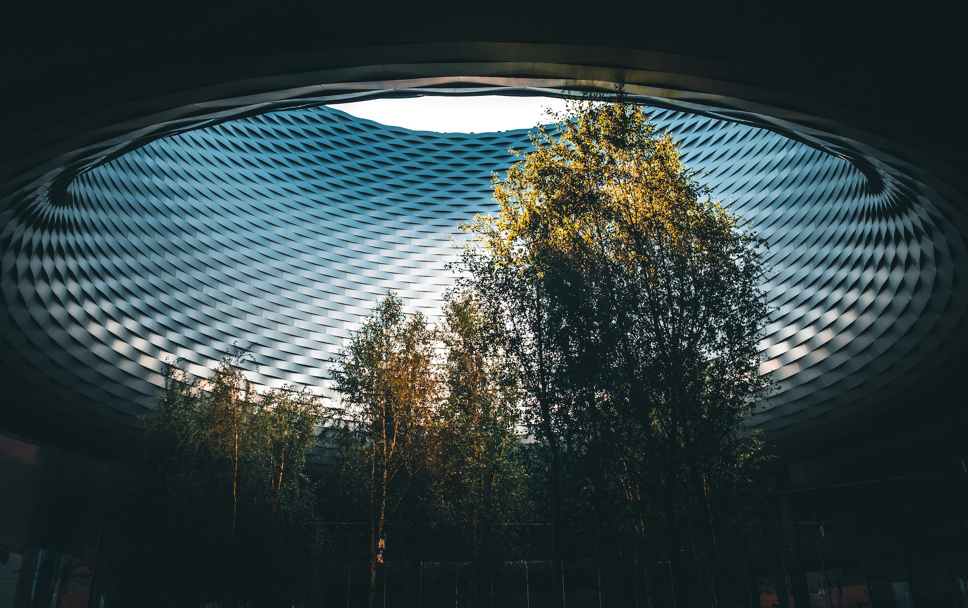 Trees set within an ultra modern piece or architecture - Basel Travel Guide: Art, Architecture and Cultural Depth at the Heart of Europe | The Aficionados 