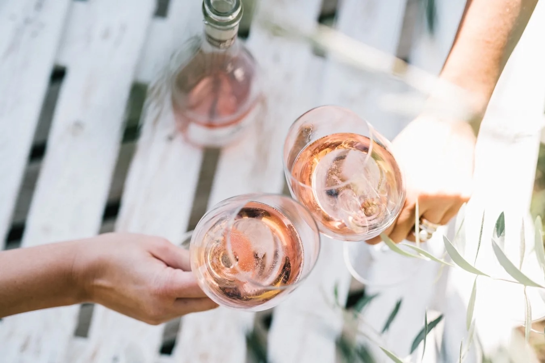 Venturini Baldini Estate | Organic Vineyard Emilia-Romagna | The Aficionados