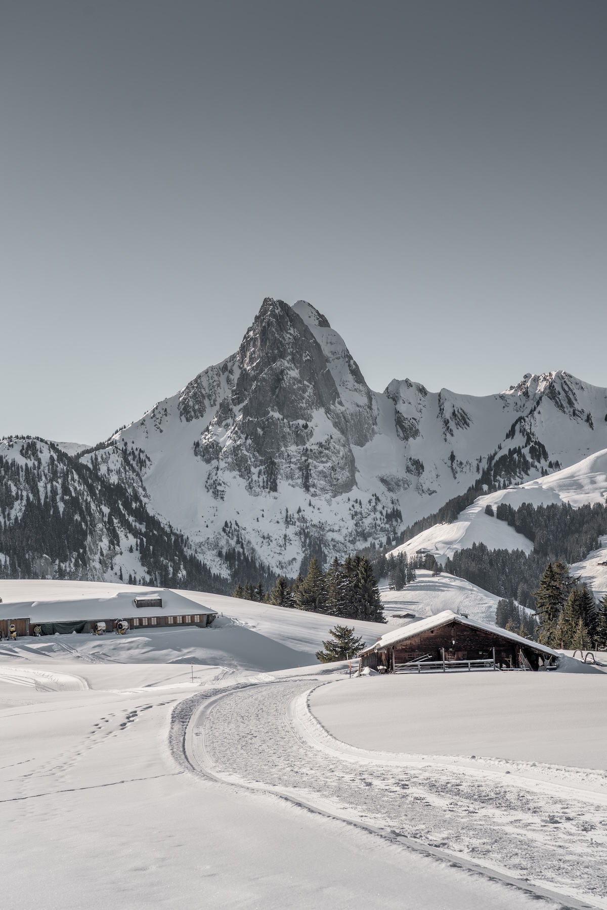 Skiing in Saanen | Gstaad | Alps | The Aficionados