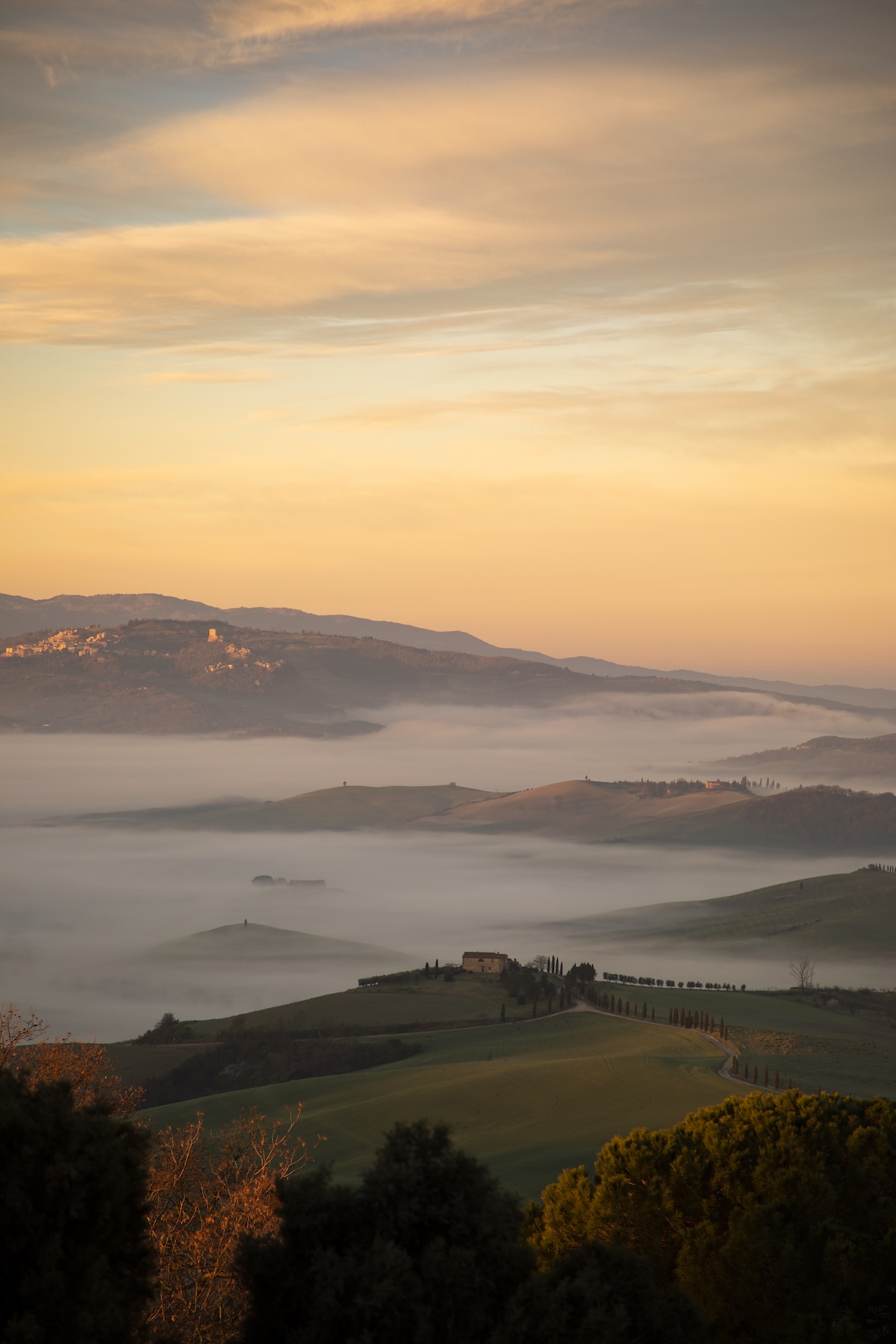 M<ist Fog settling over the rolling green hills and cypress-lined roads of the Val d'Orcia at first light