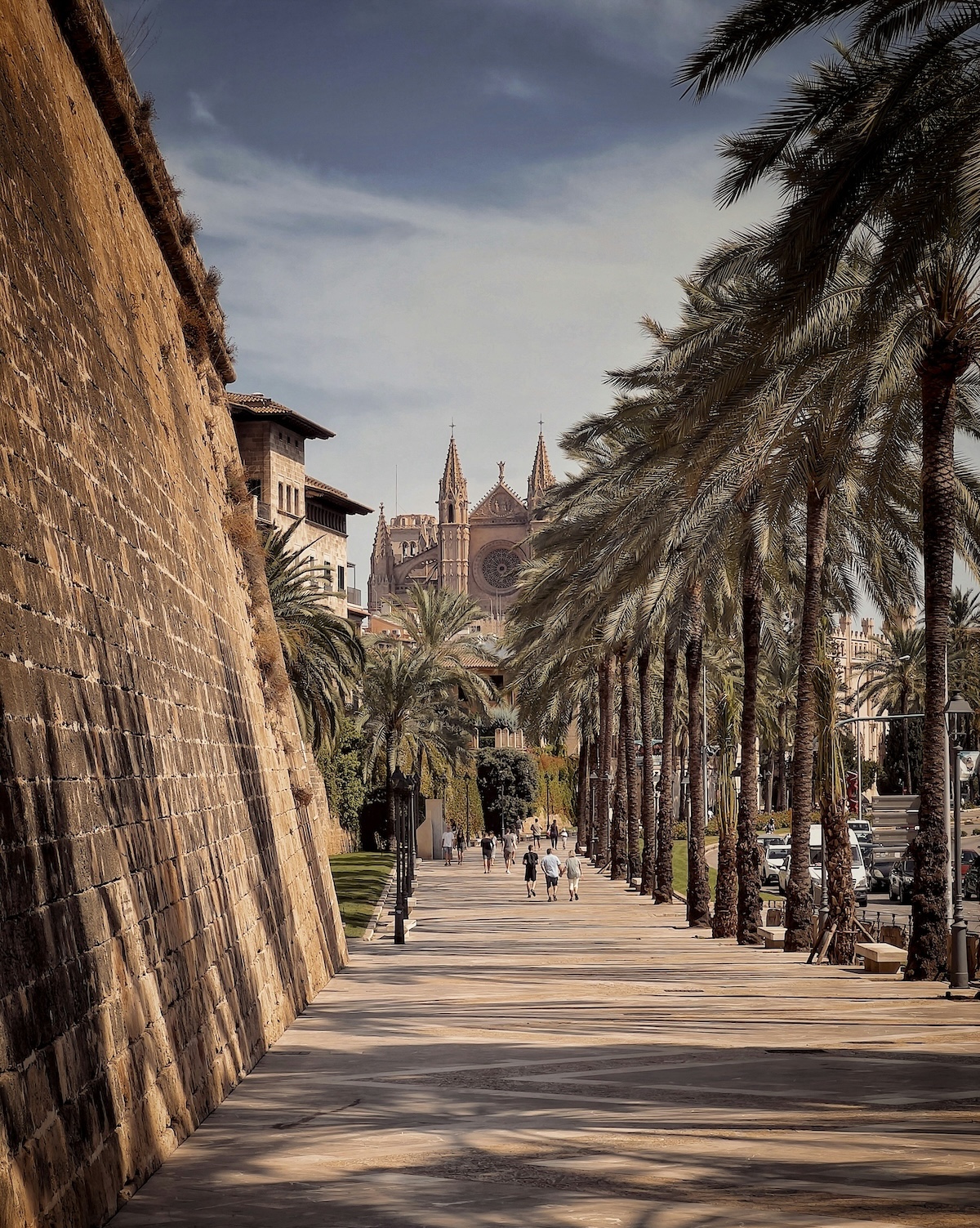 Palms and the old city walls lining the promenade below La Seu cathedral in Palma de Mallorca | The Aficionados