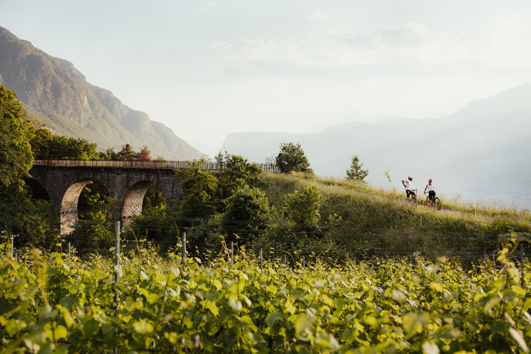 Sport Cycling | South Tyrol| The Aficionados