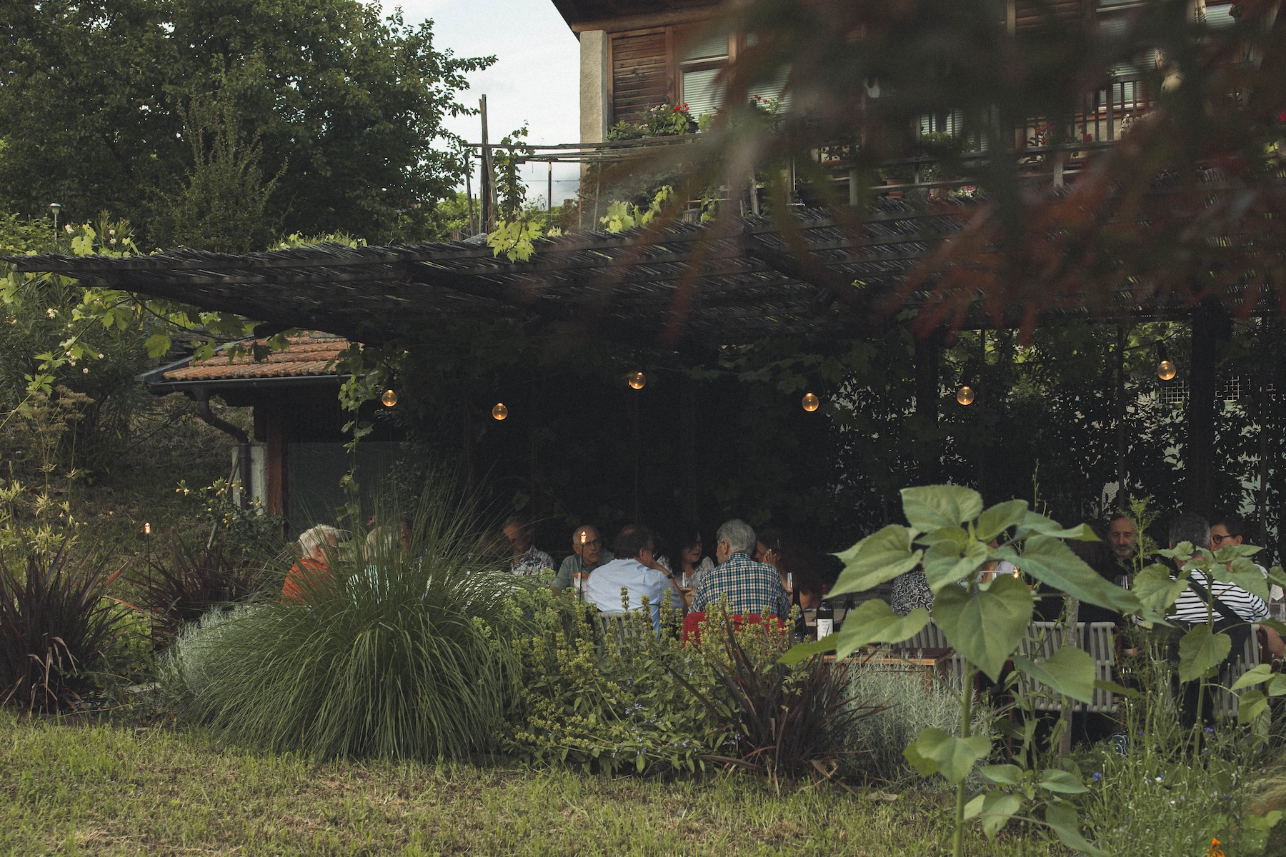 Diners gathered beneath the ancient vine pergola in the back garden at Blaue Traube, Algund, lit by warm string lights at the close of a summer evening | TheAficionados.com