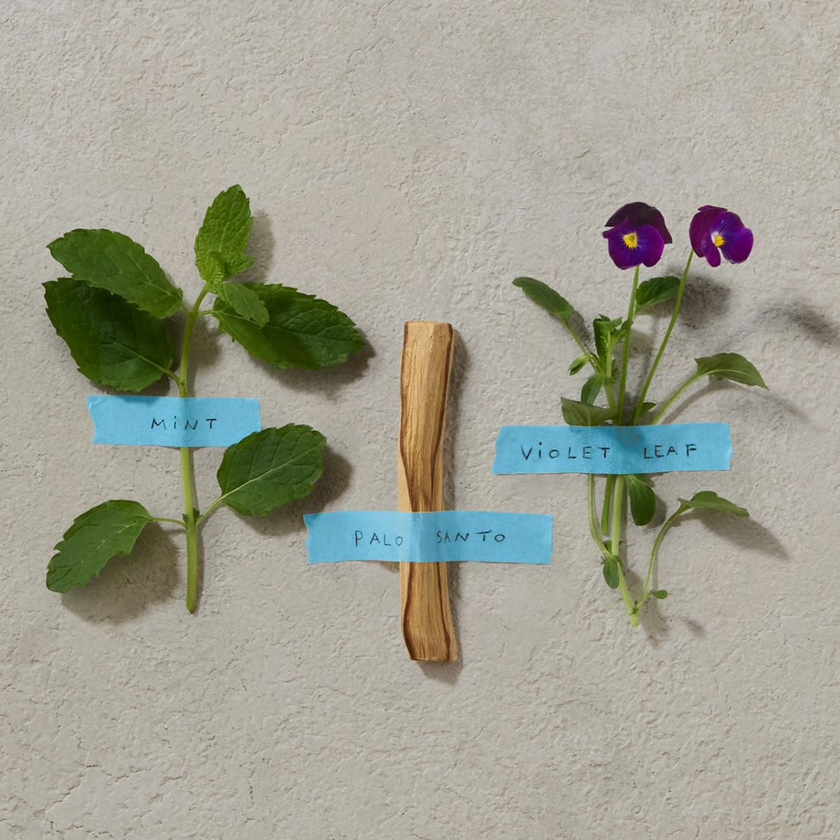 Bold Blend fragrance notes labelled with tape: a sprig of mint, a stick of palo santo wood and violet leaf with purple flowers