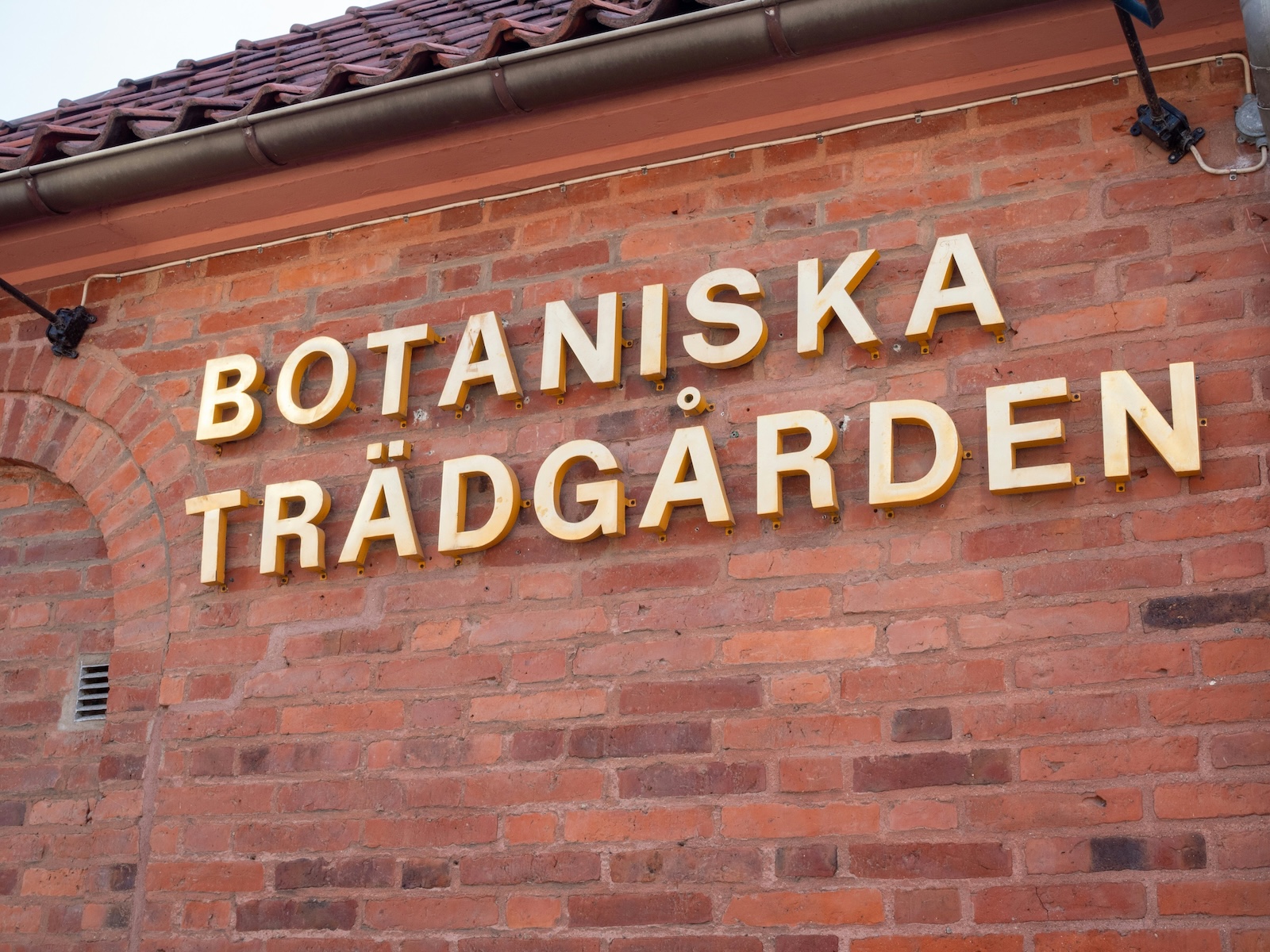Gothenburg Botaniska | A gardener's sanctuary and must see in Sweden's second city