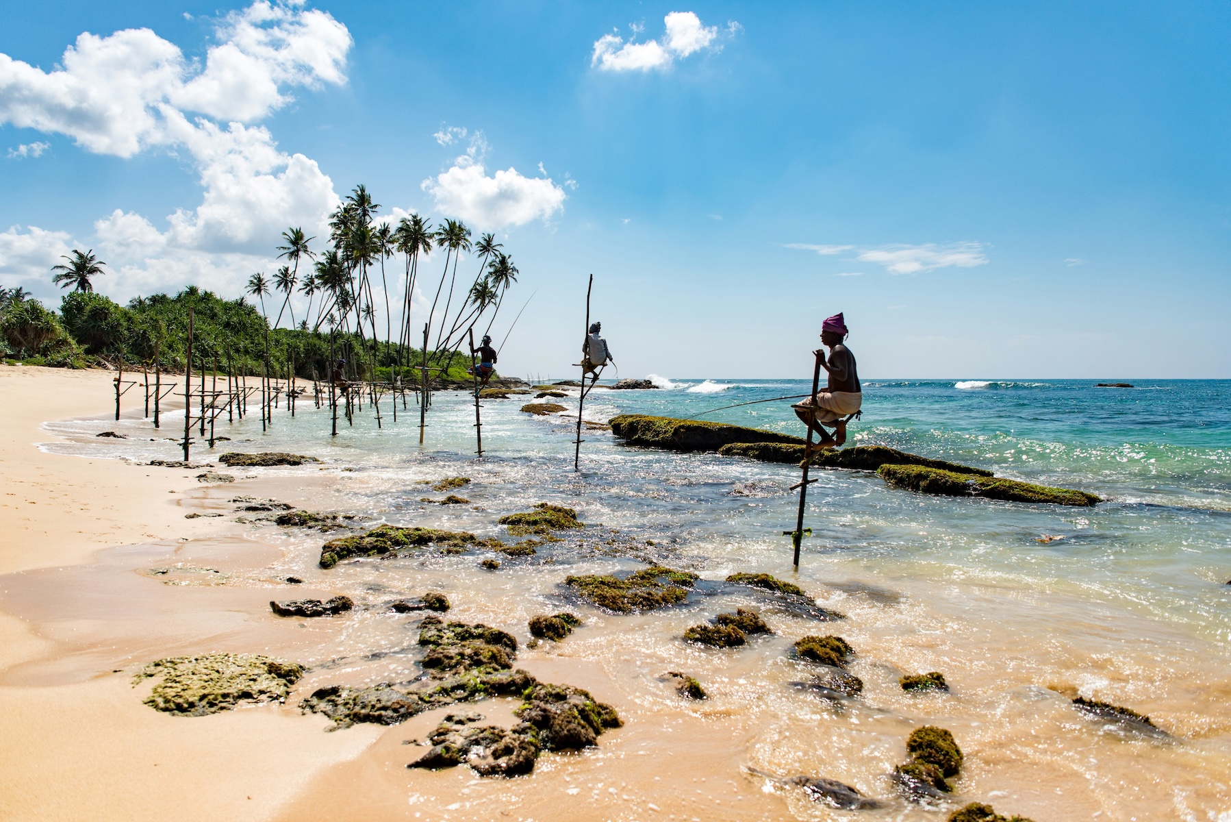 Traditional stilt fishermen balanced on wooden poles in the shallows off a palm-fringed beach, southern Sri Lanka | The Aficionados