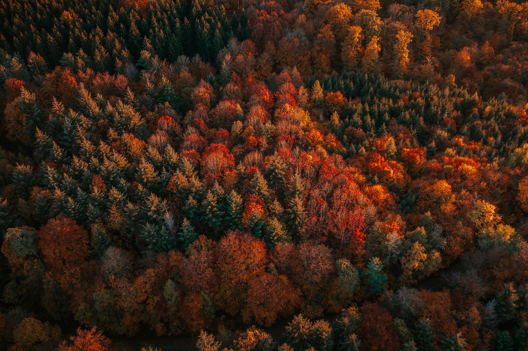 Indian Summer, autumn, Alps, Alpine, hotel, travel, Gold-Bergs