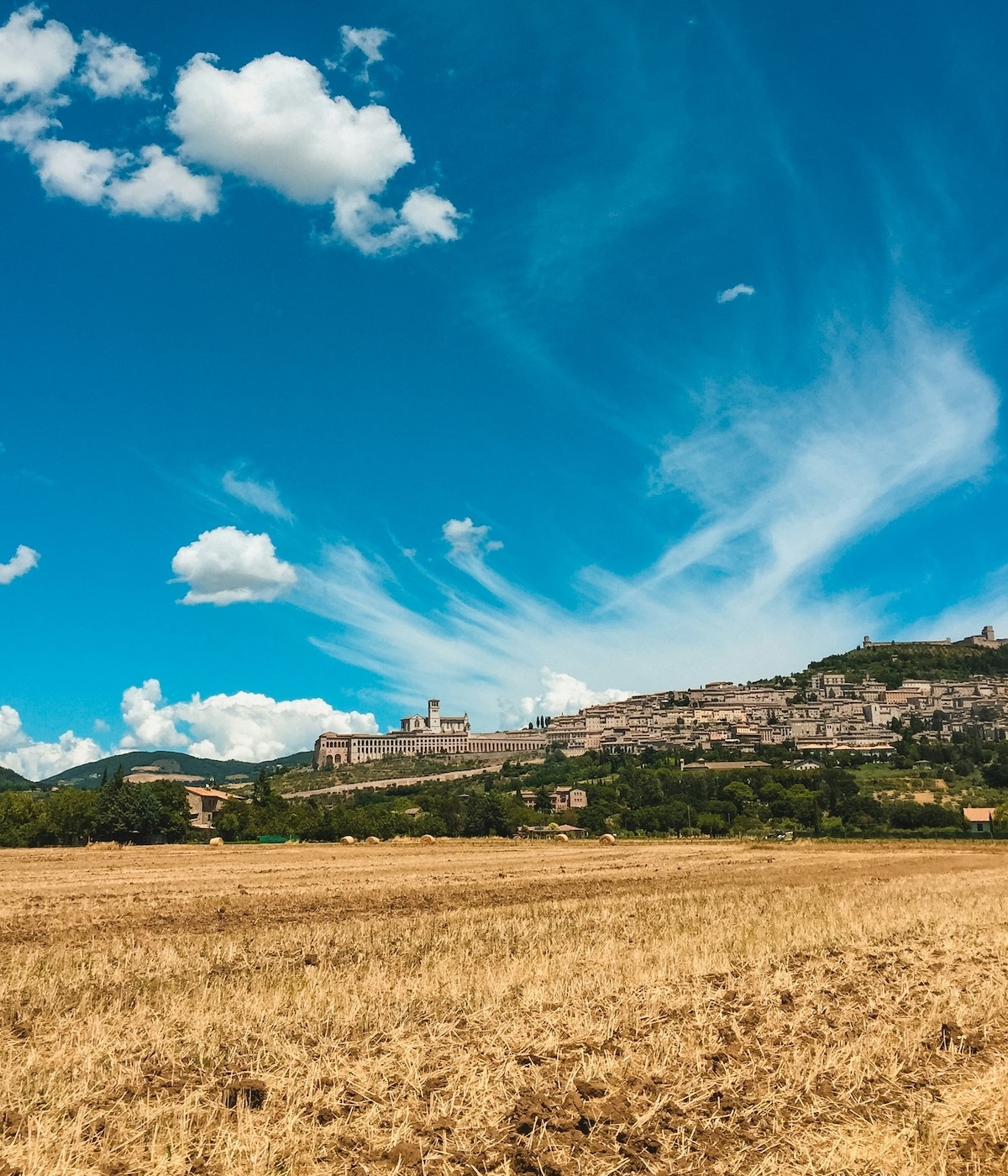 The hill town of Assisi along its Umbrian ridge, with the Basilica of San Francesco above a harvested field | The Aficionados