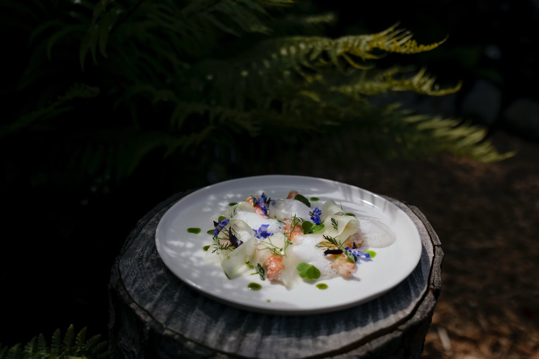 Foraged Finds: The Highland’s wild food inclinations at innovative Eòlach