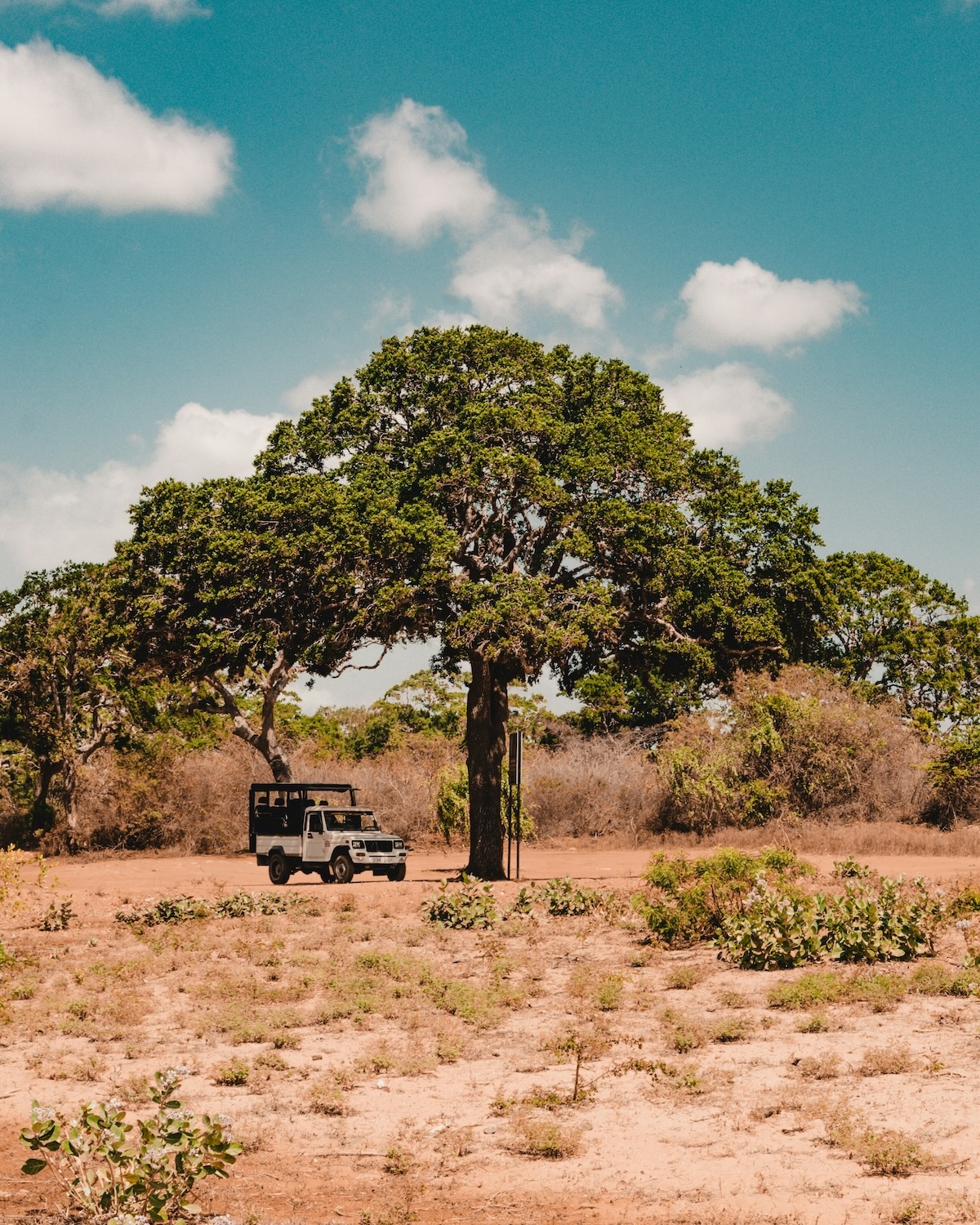 Safari jeep parked beneath a lone tree in the dry scrubland of Yala National Park, Sri Lanka | The Aficionados