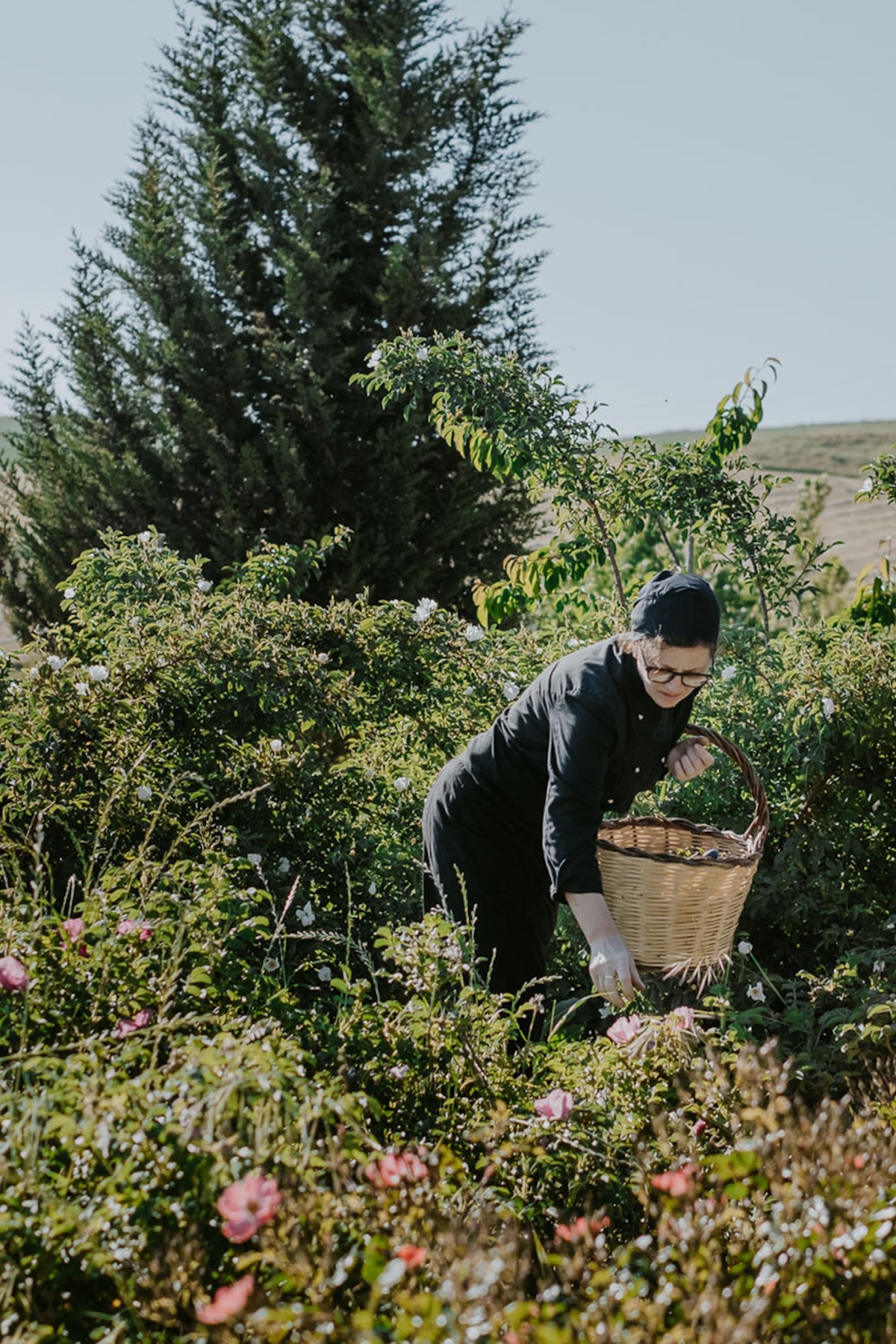 Foraging in the biodiverse garden at Susafa, where rare wild plants and local flora are tended by hand for the zero-kilometre kitchen of the regenerative-farming boutique hotel, Madonie, Sicily | The Aficionados.