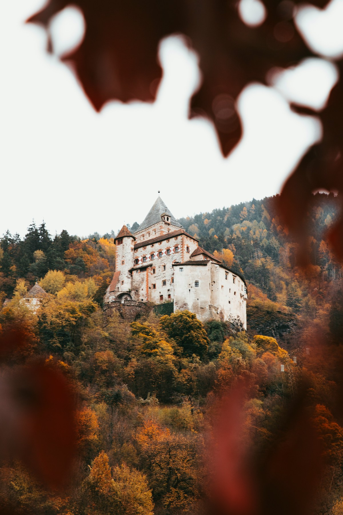 Monocle’s Love Affair with South Tyrol | The Aficionados