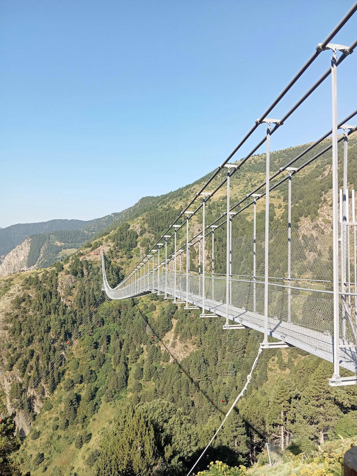 Steel suspension footbridge spanning a forested gorge high above the valley floor, Canillo, Andorra