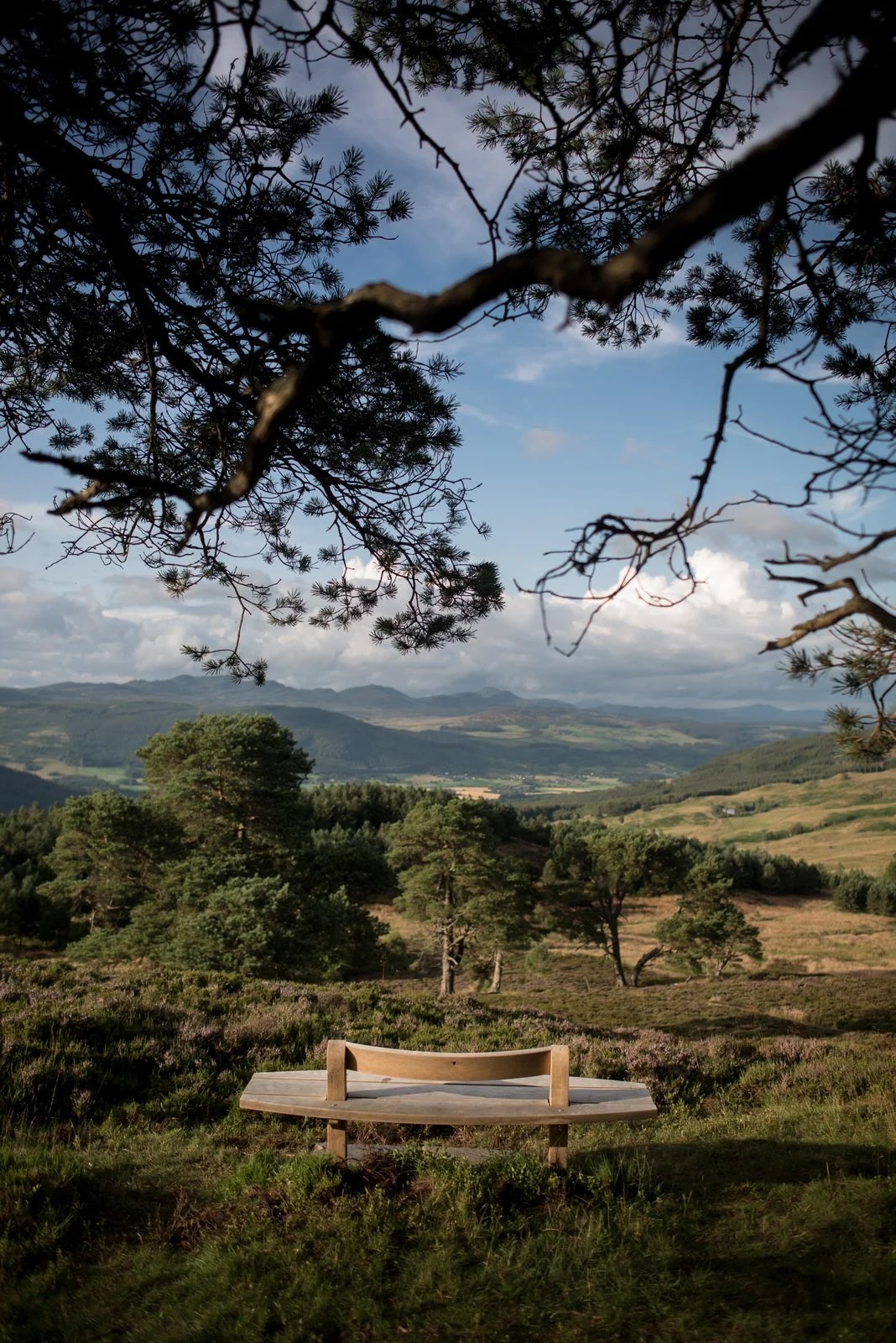 Angus Ross | Handcrafted Furniture Made in Scotland | The Aficionados 