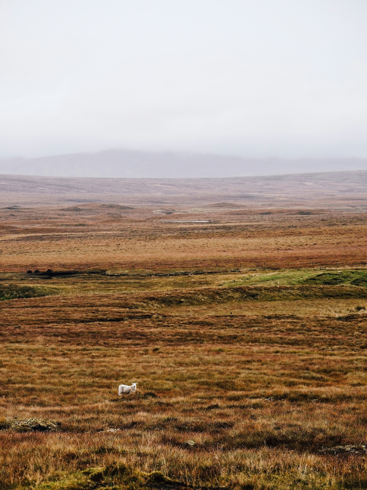 North Coast 500 - the driving route through Scotland's Highlands
