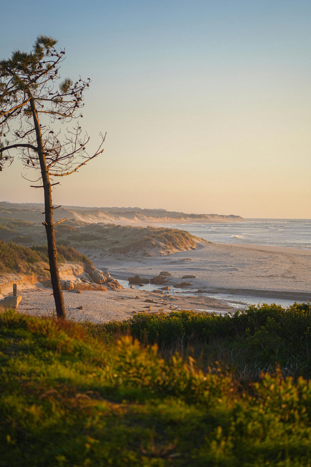 Alentejo | Portugal's Wild Region of Nature, History and Atlantic Coastlines 