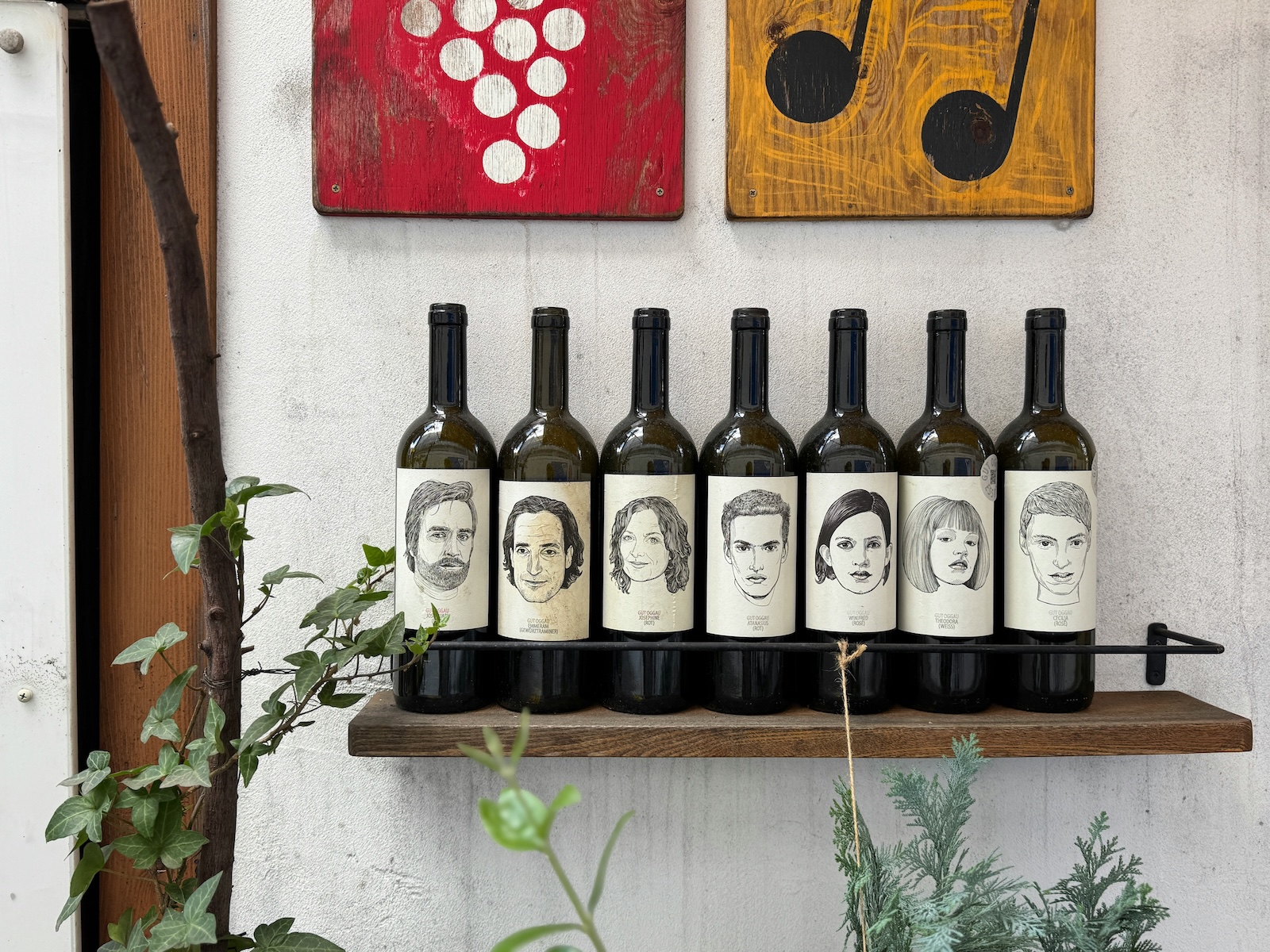 Gut Oggau – Austria’s Best Organic Wine