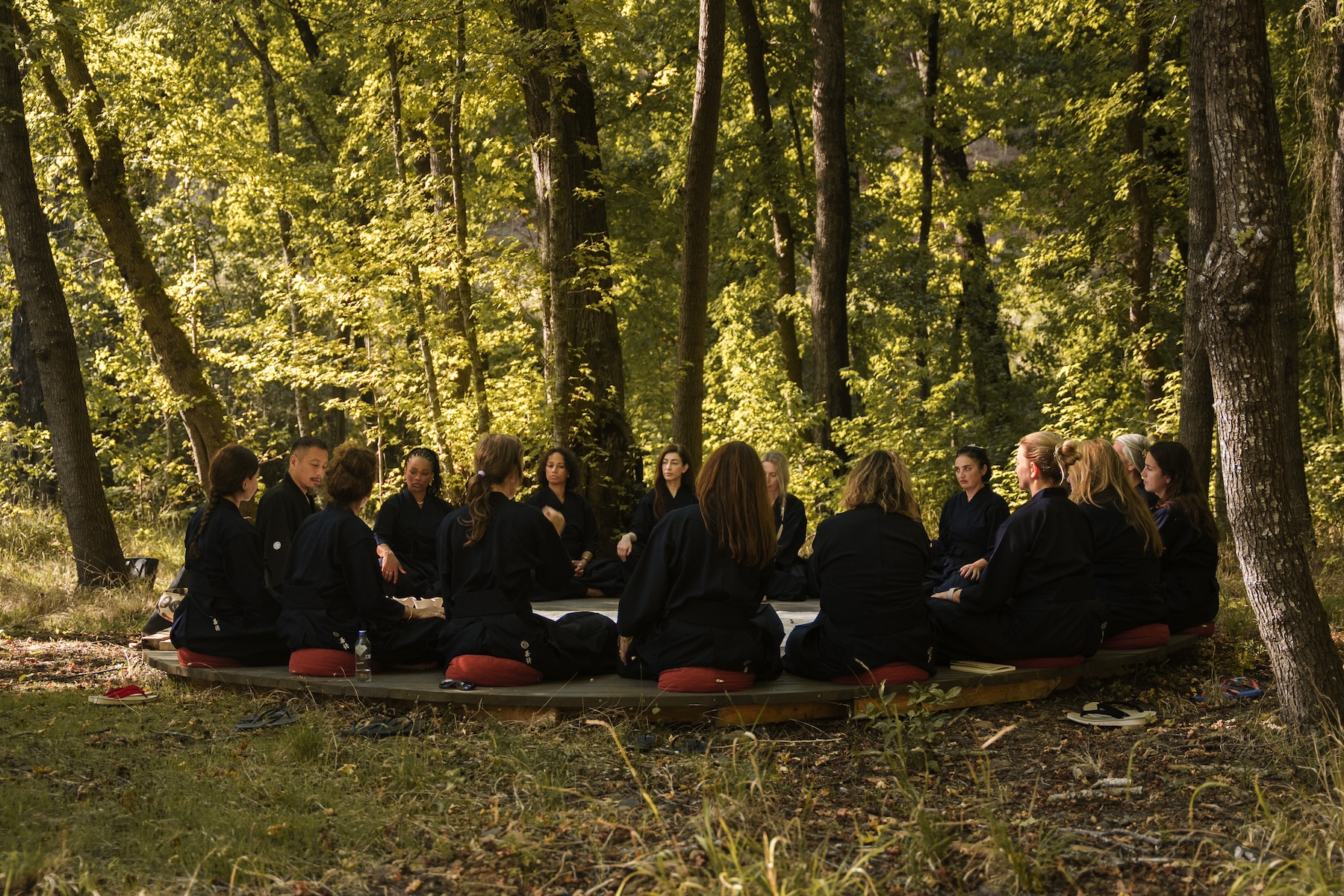 Retreat guests gather in a seated circle in a sunlit forest clearing for a reflection session at the Zen Samurai Life Leadership retreat.