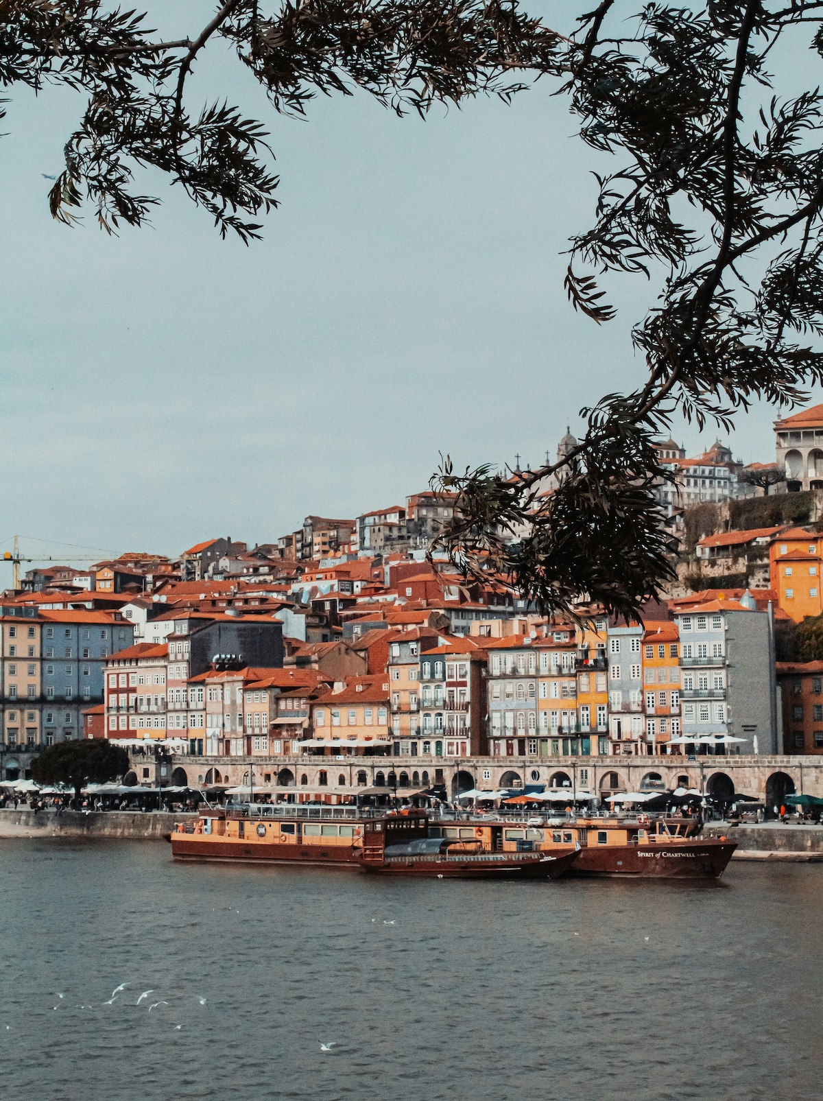 Porto | Our Guide To Portugal's Vibrant Northern Gem