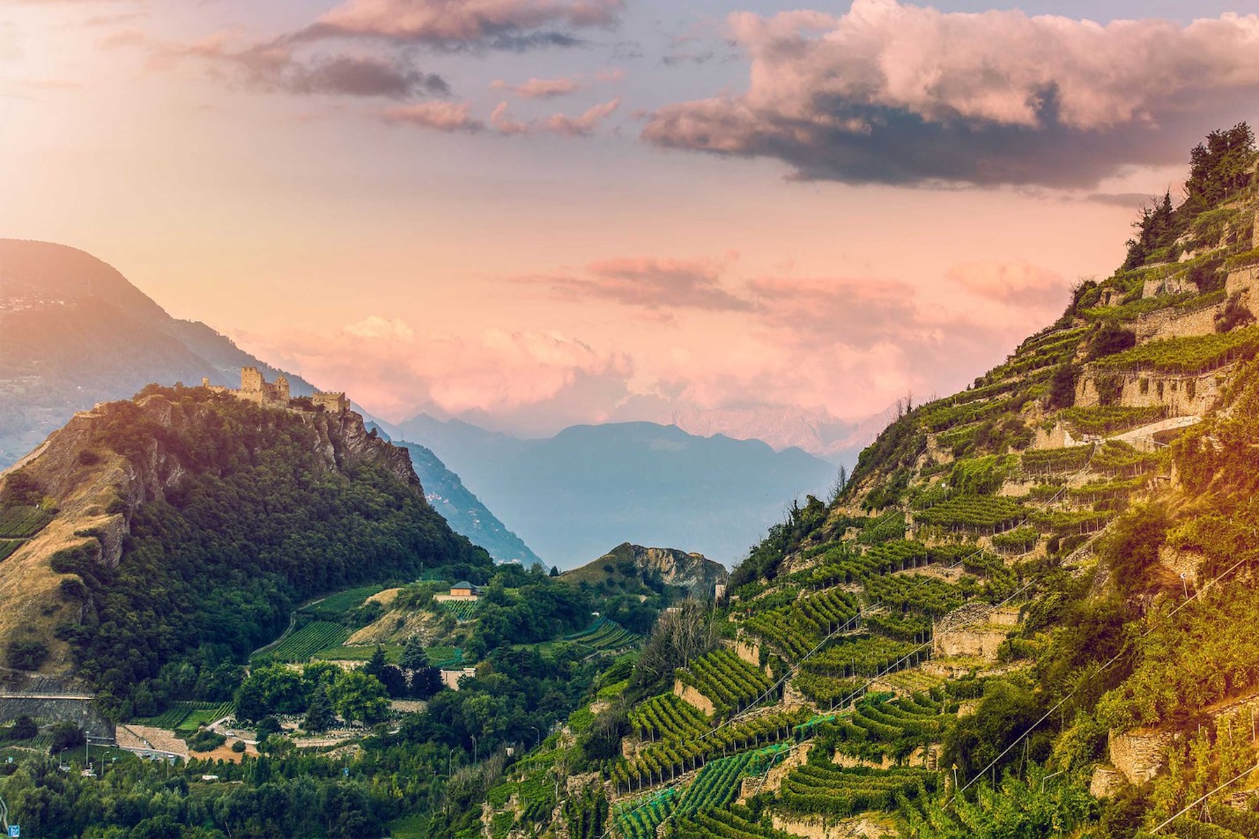 St. Jodern Kellerei | Valais Switzerland | The Aficionados