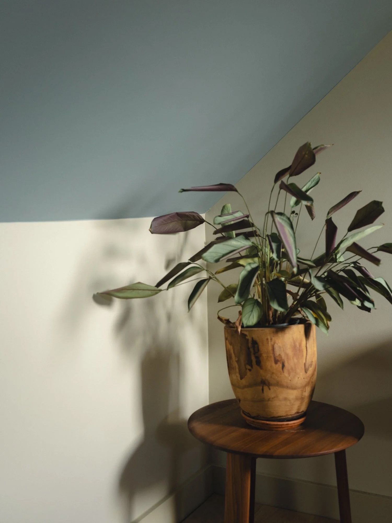   Caro Bruton Somerset | Natalie Jones’ Boutique B&B, Design Store & Creative Space