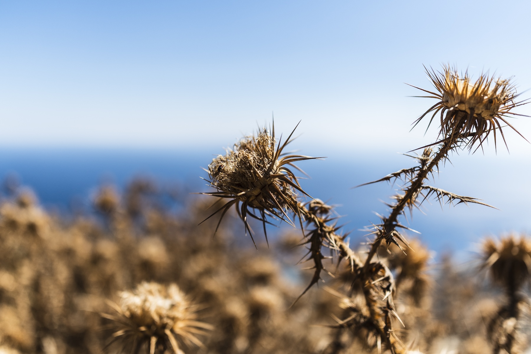 Holiday in Tinos, Greece | The Aficionados