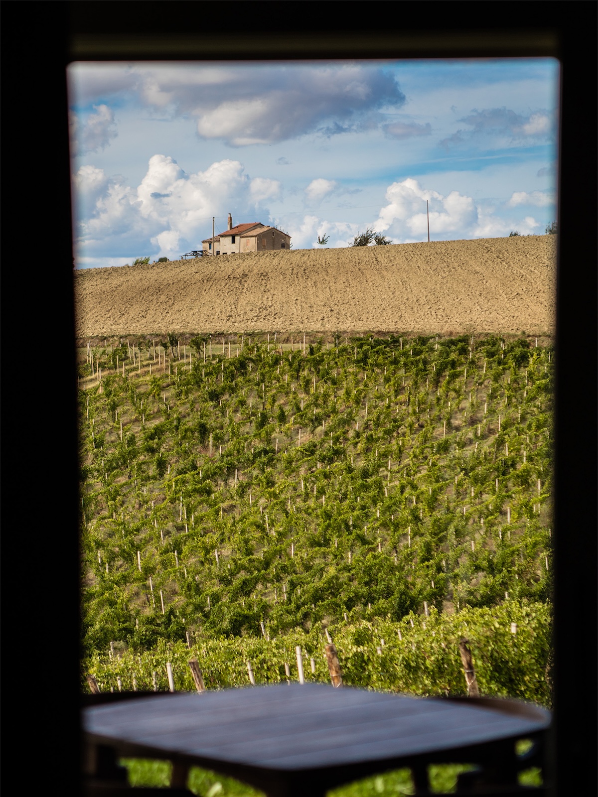 View through a winery window across Lacrima di Morro d'Alba vineyards to a farmhouse on the hill, Le Marche Italy