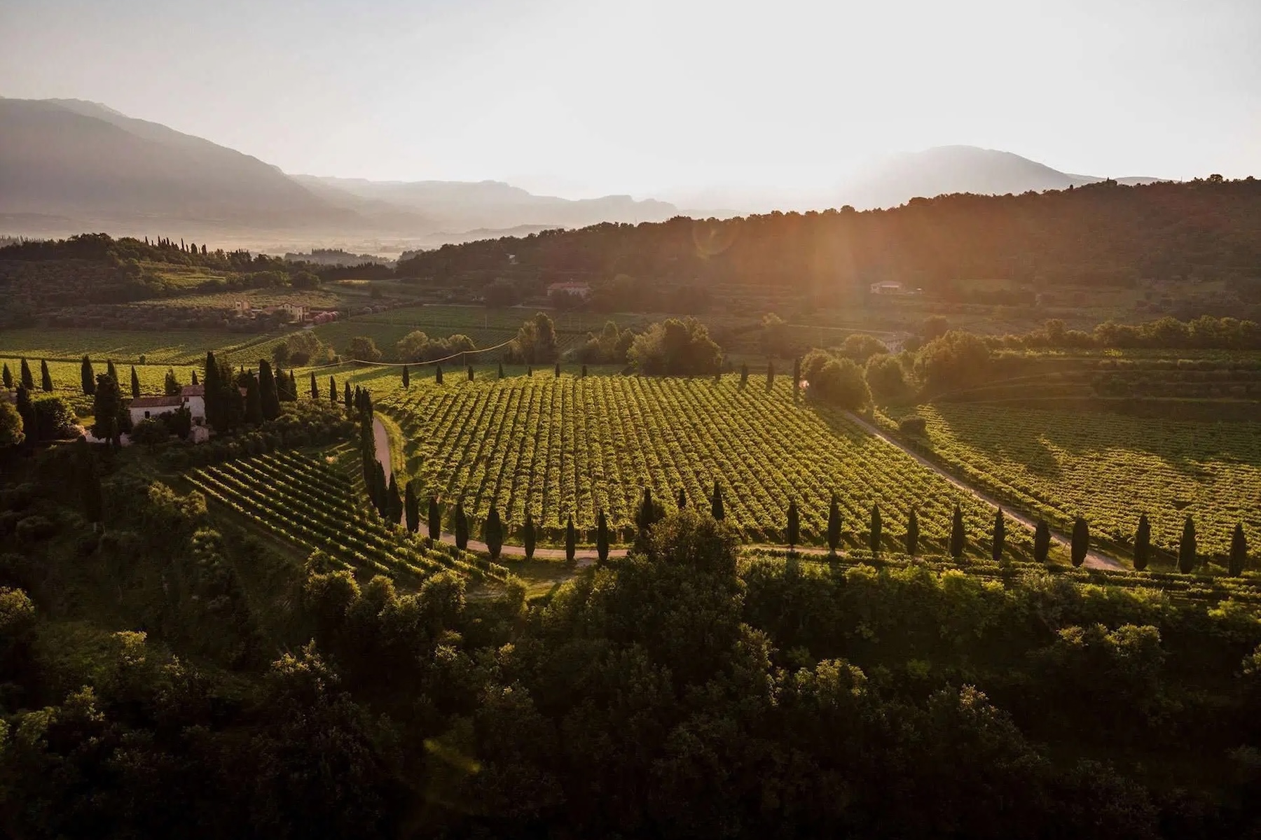 The Bardolino Wine Festival, or Festa Dell’Uva, is found on the shores of Italy’s Lake Garda, 