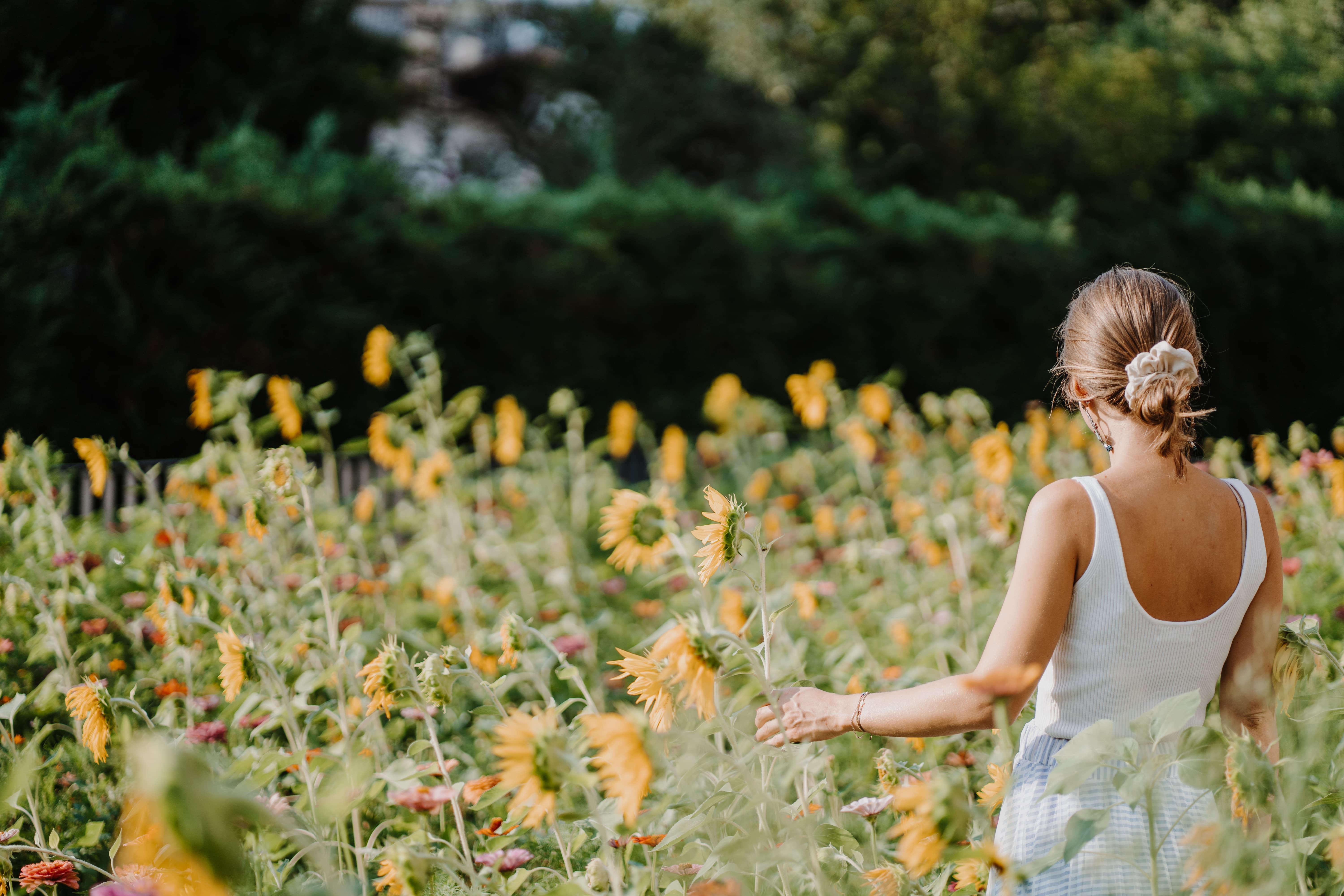 Woman in a field of Sunflowers meadows |Poetic Design Hotels & Creative Hideaways Across Europe – The Aficionados