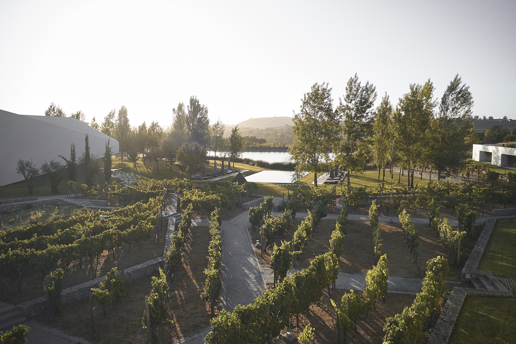 L'AND Vineyards Hotel & Spa | Wine Hotels in Montemor-o-Novo, Alentejo, Portugal | Designed by Márcio Kogan of Studio MK27