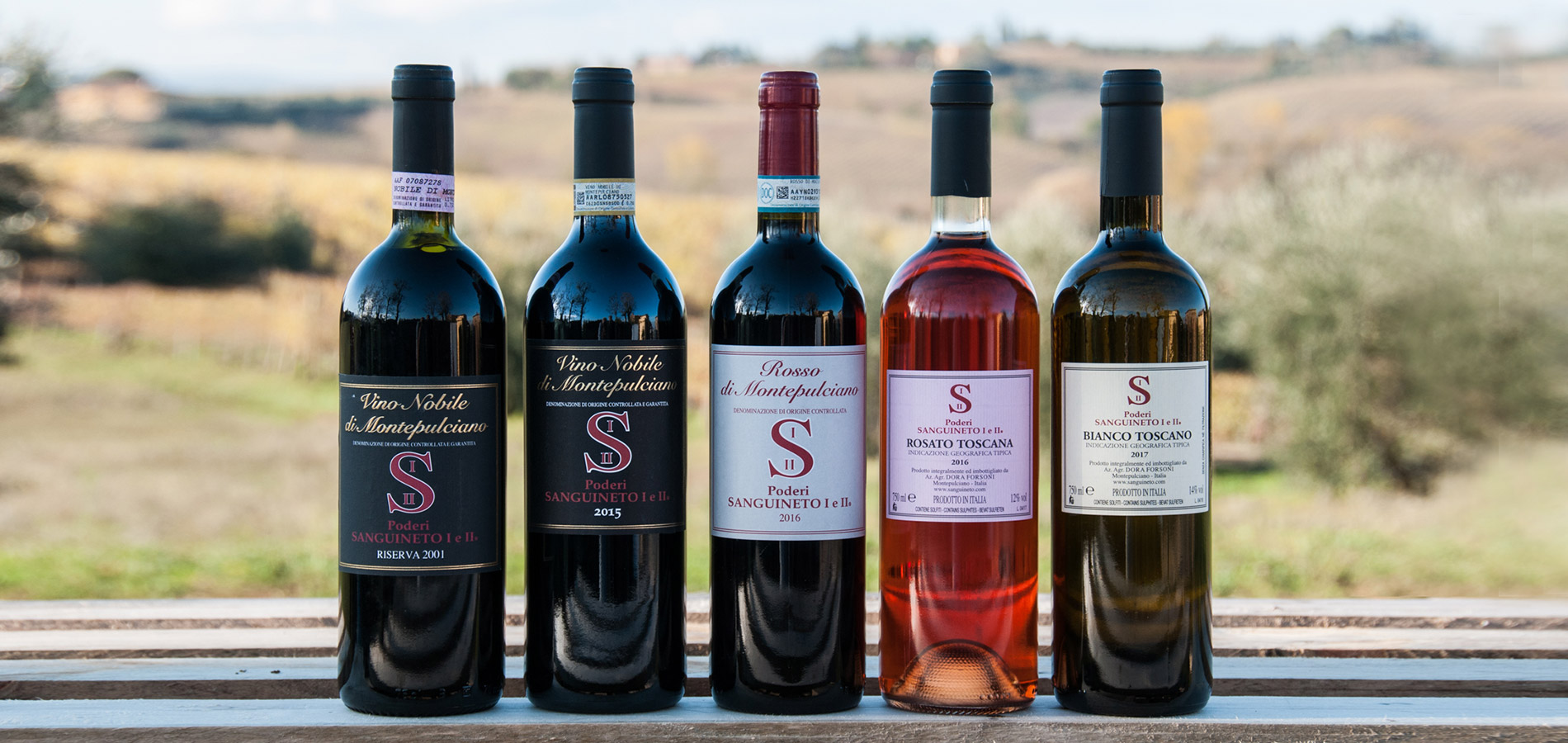 Podere Sanguineto Wine Producers | The Tuscan Wine Edit 