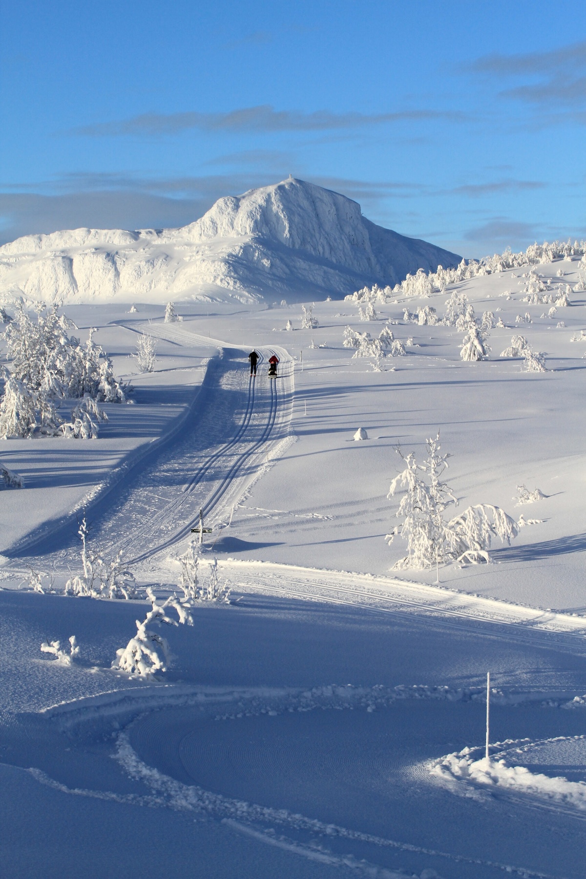 Ski, cross-country | Snowboarding Norway | The Aficionados