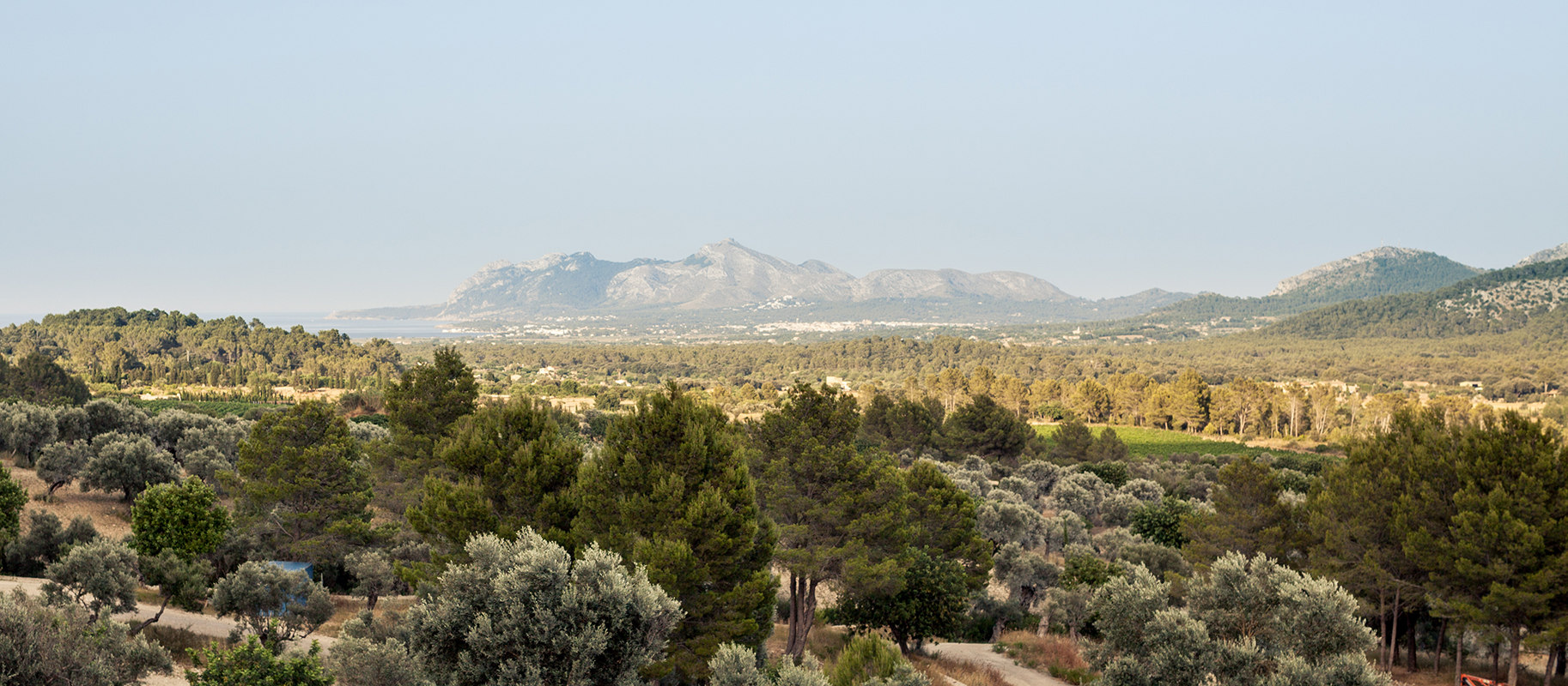 Son Brull Hotel Organic Wine | Mallorca | The Aficionados