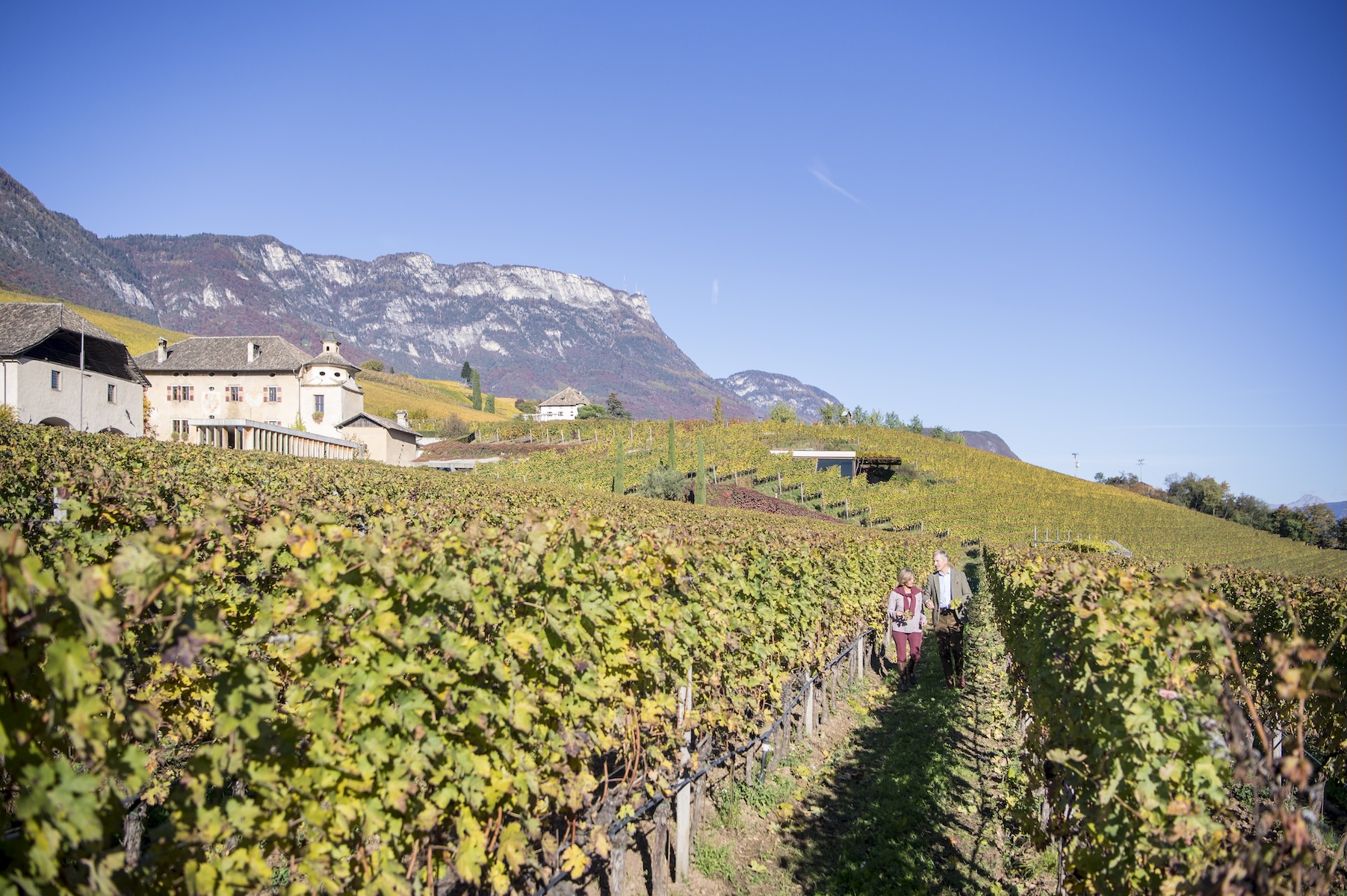 Vineyards of Kaltern am See | Best Italian Wineries Alto Adige, Italy