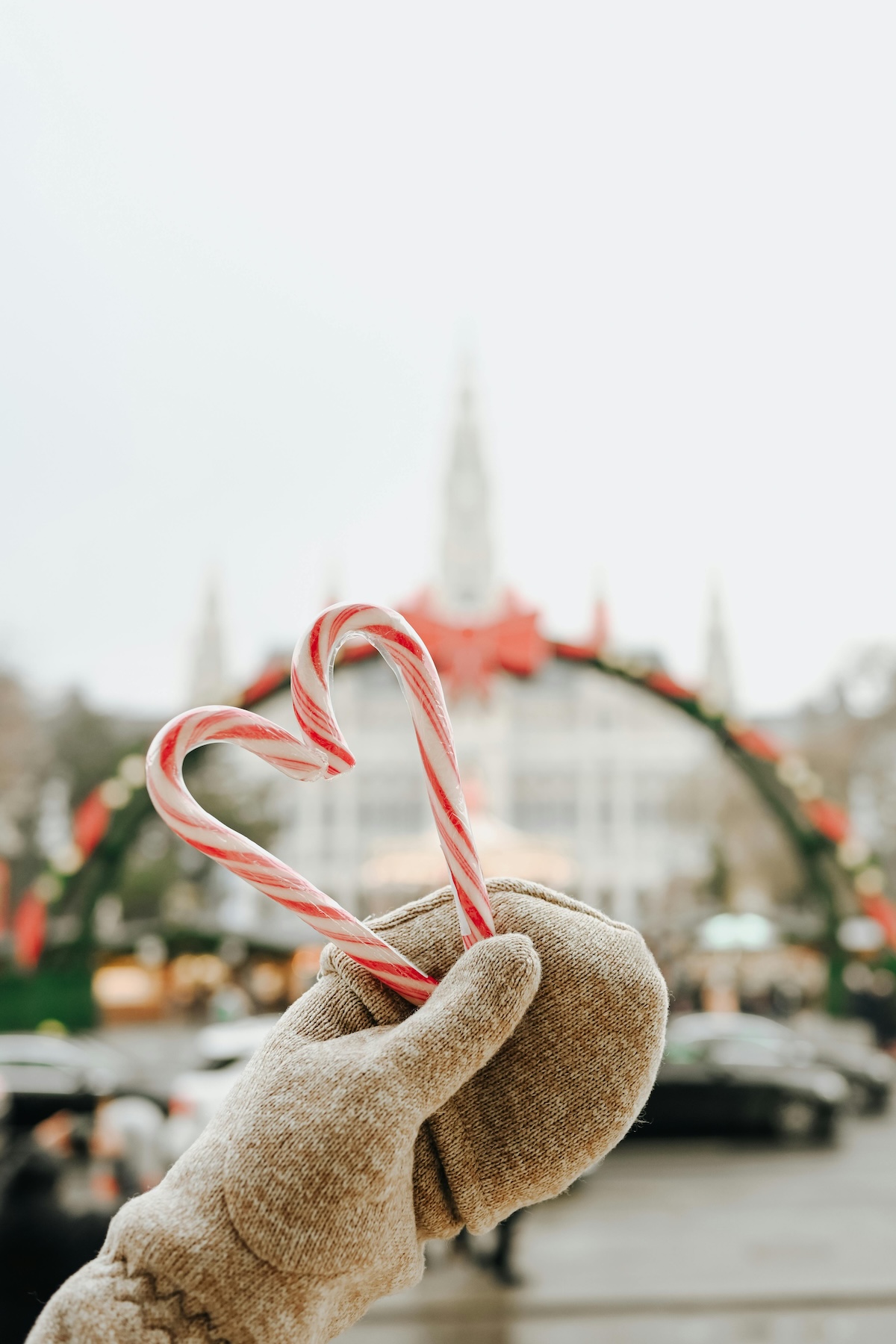 Christmas Market Vienna Austria Guide | The Aficionados